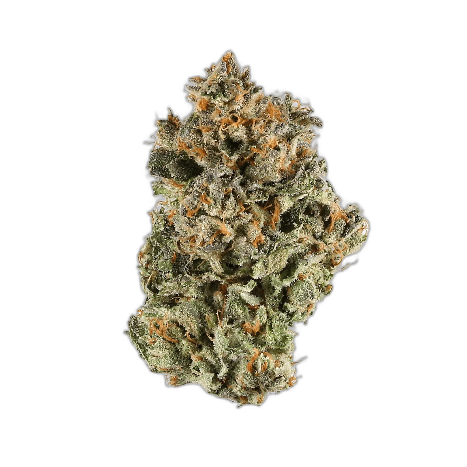 Dark Star