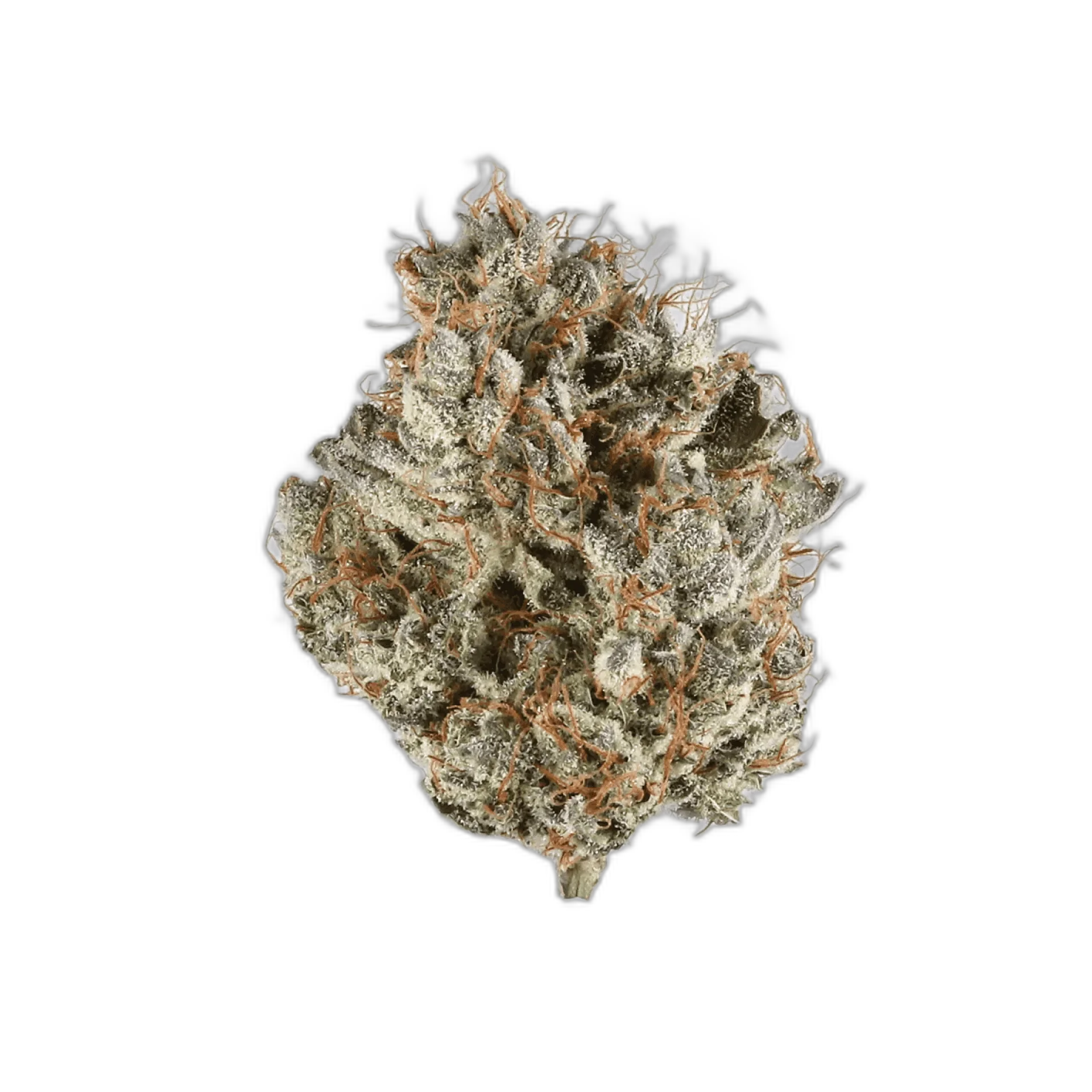 Darth Vader OG