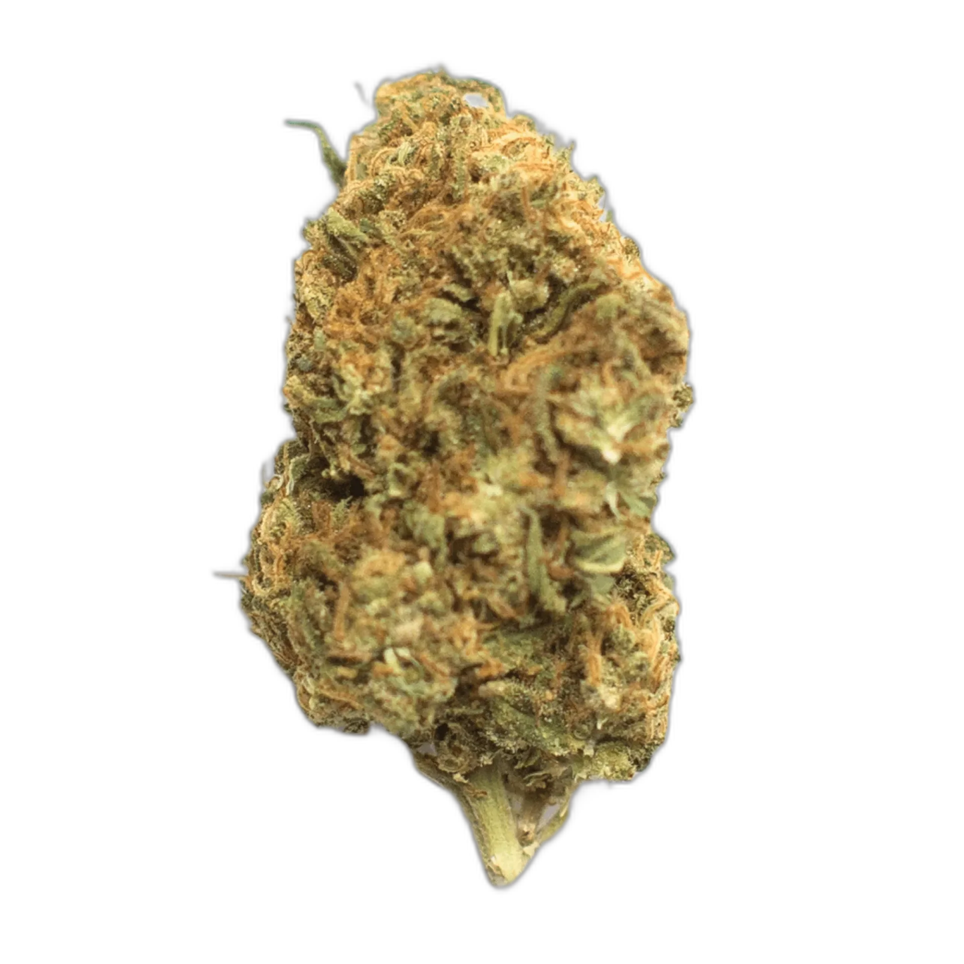 Deadhead OG