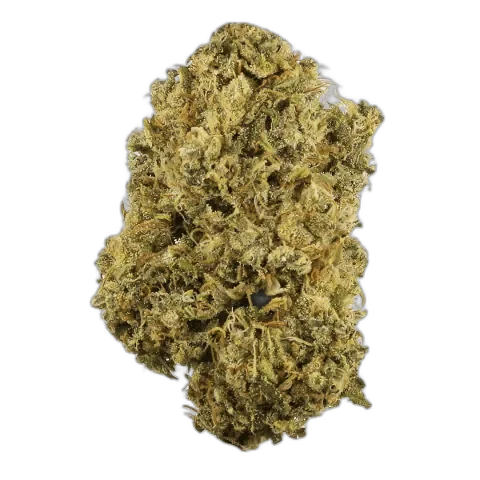 Durban Poison