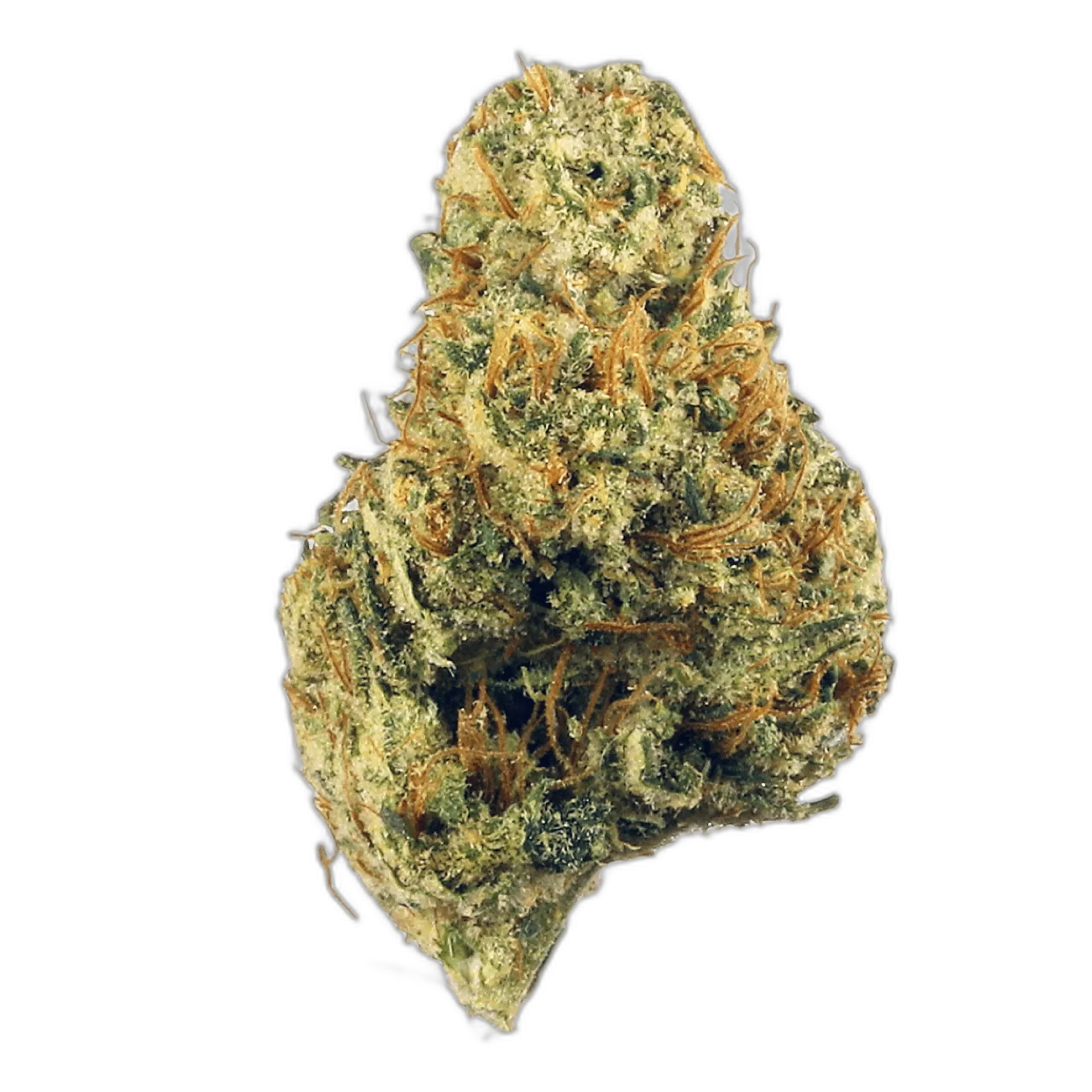 Dutch Treat