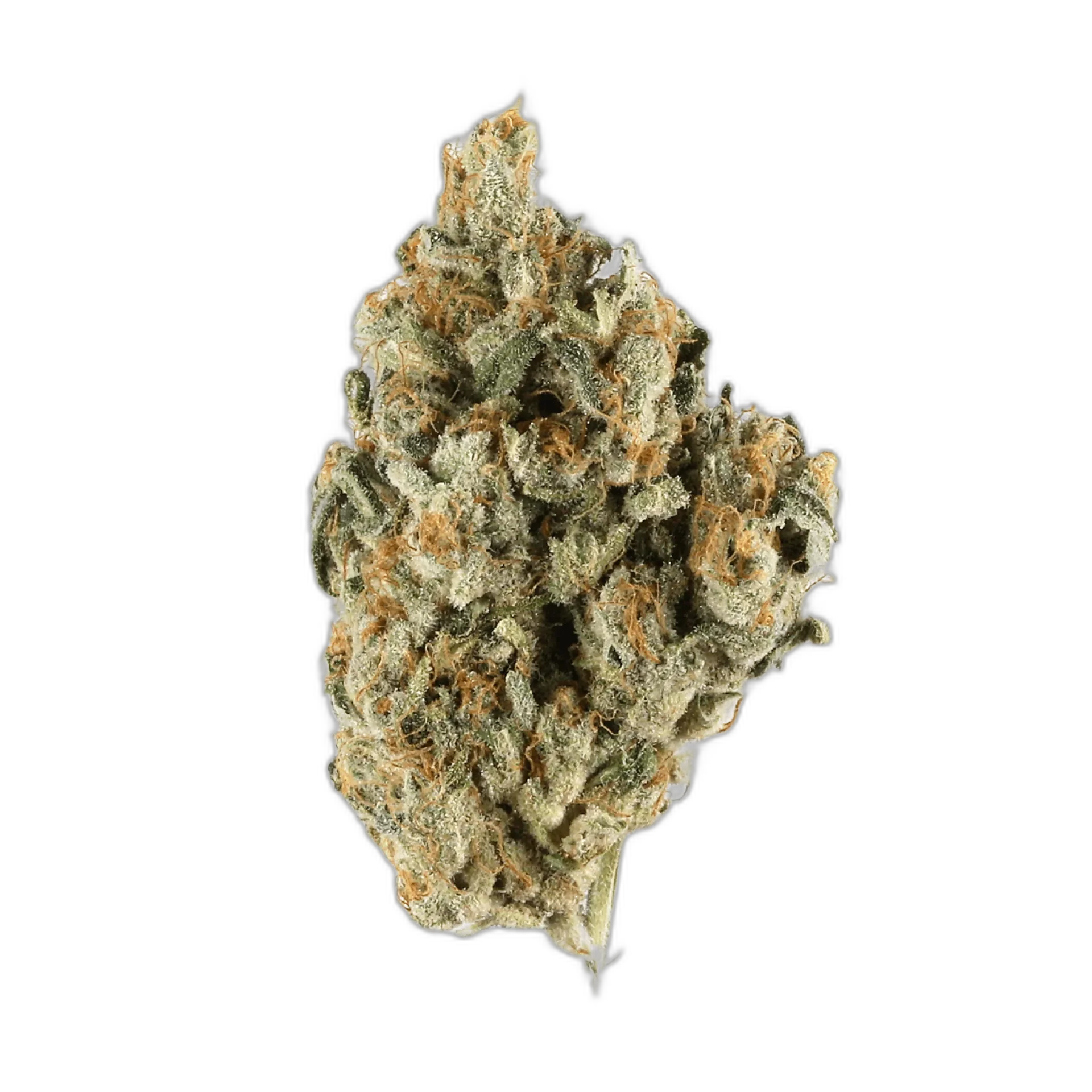 East Coast Sour Diesel