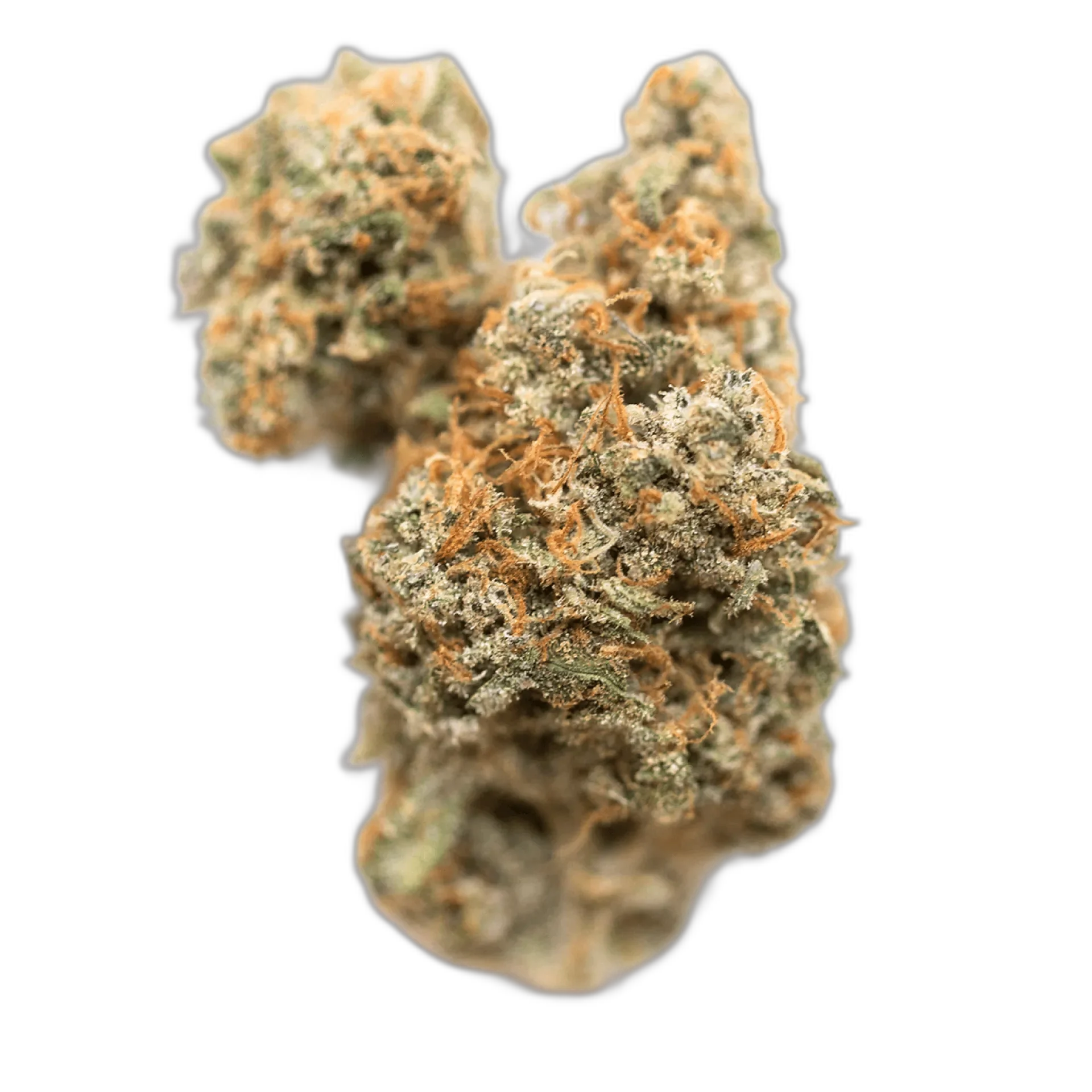 Georgia Pie