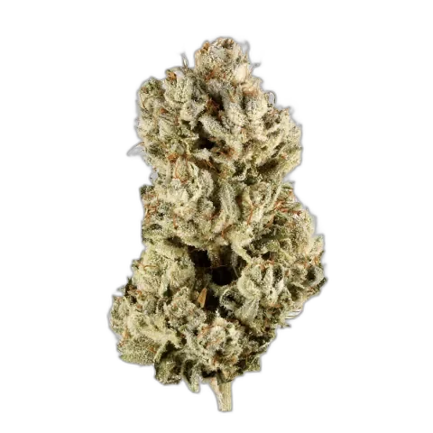 GG4