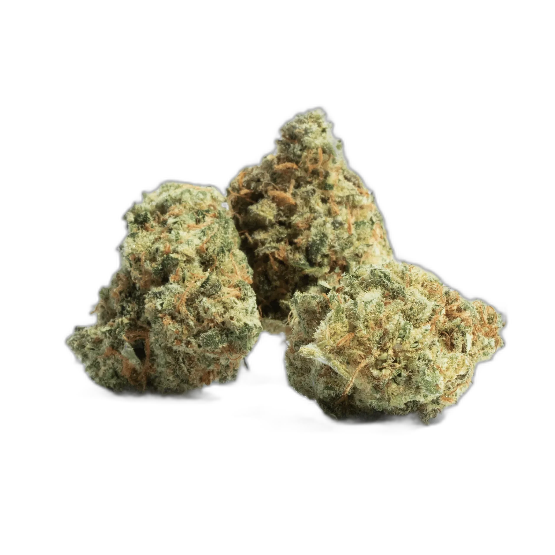 Ghost OG