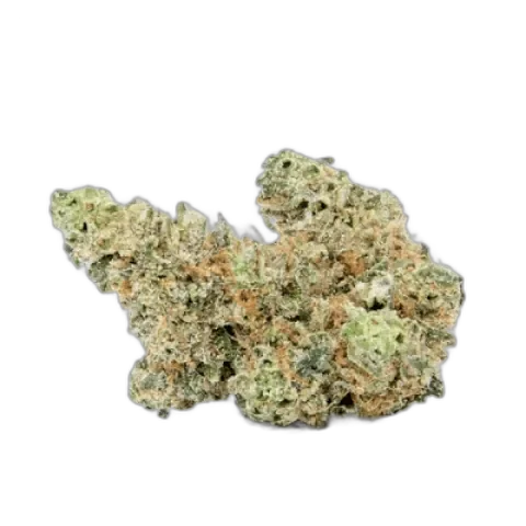 Girl Scout Cookies