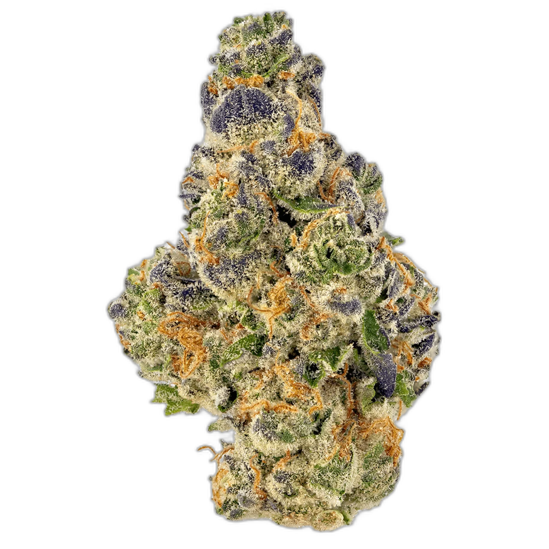 God Bud