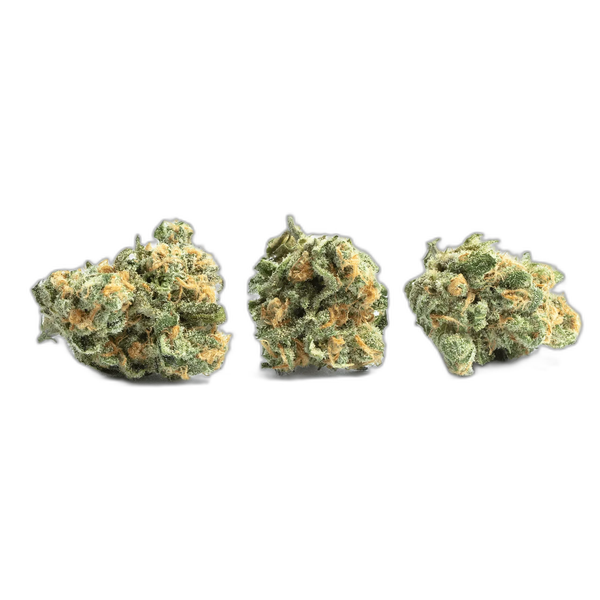 Golden Goat