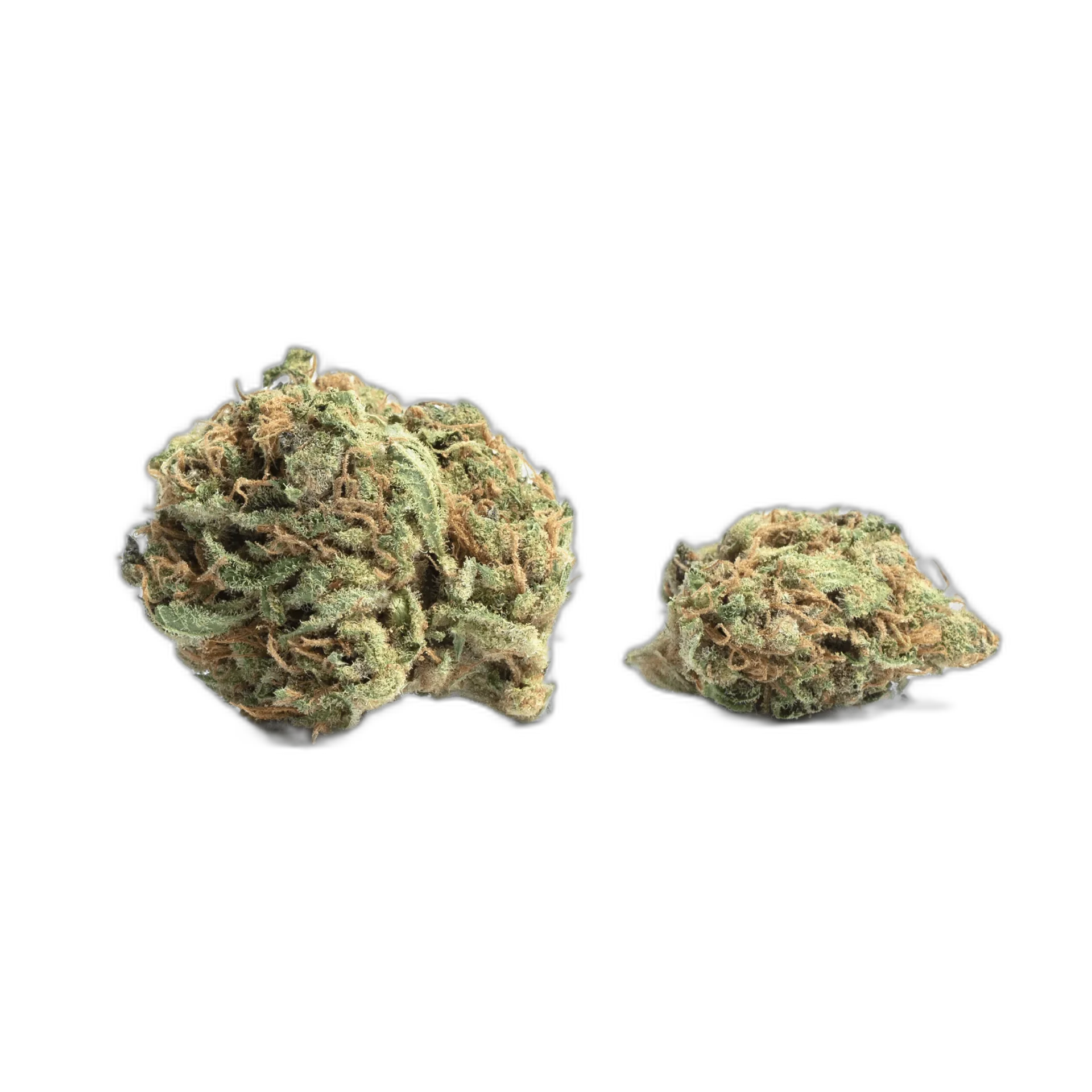 Golden Pineapple