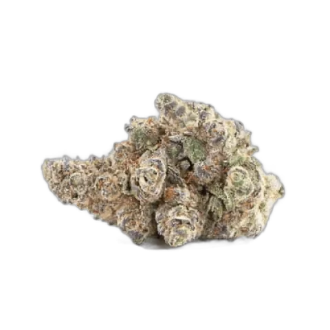 Granddaddy Purple