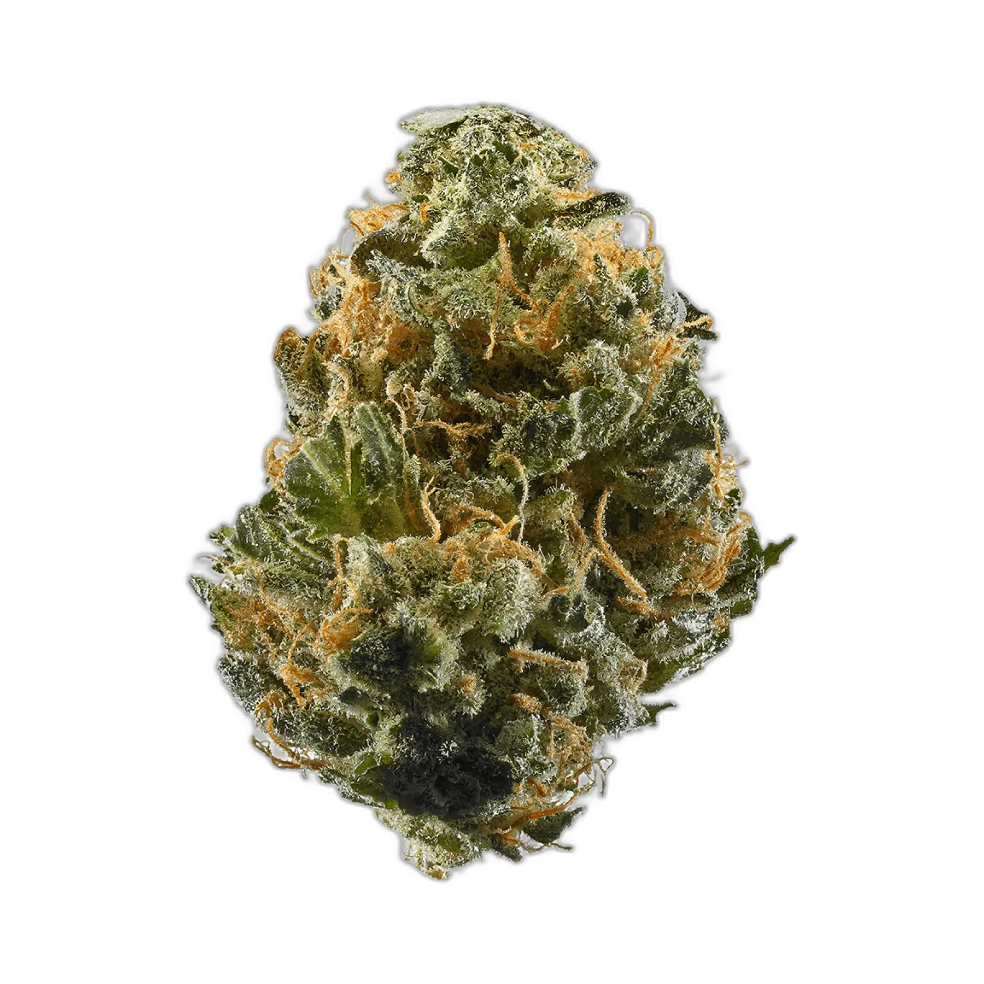 Grape Kush