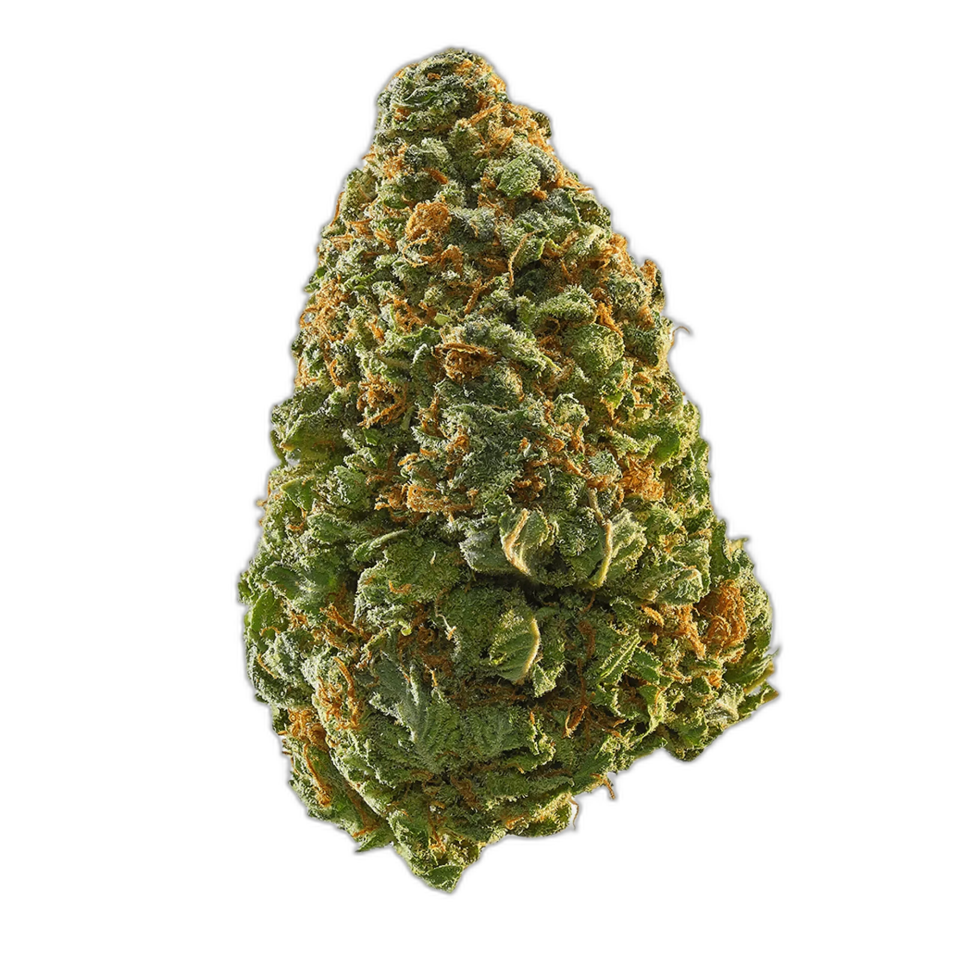 Green Crack