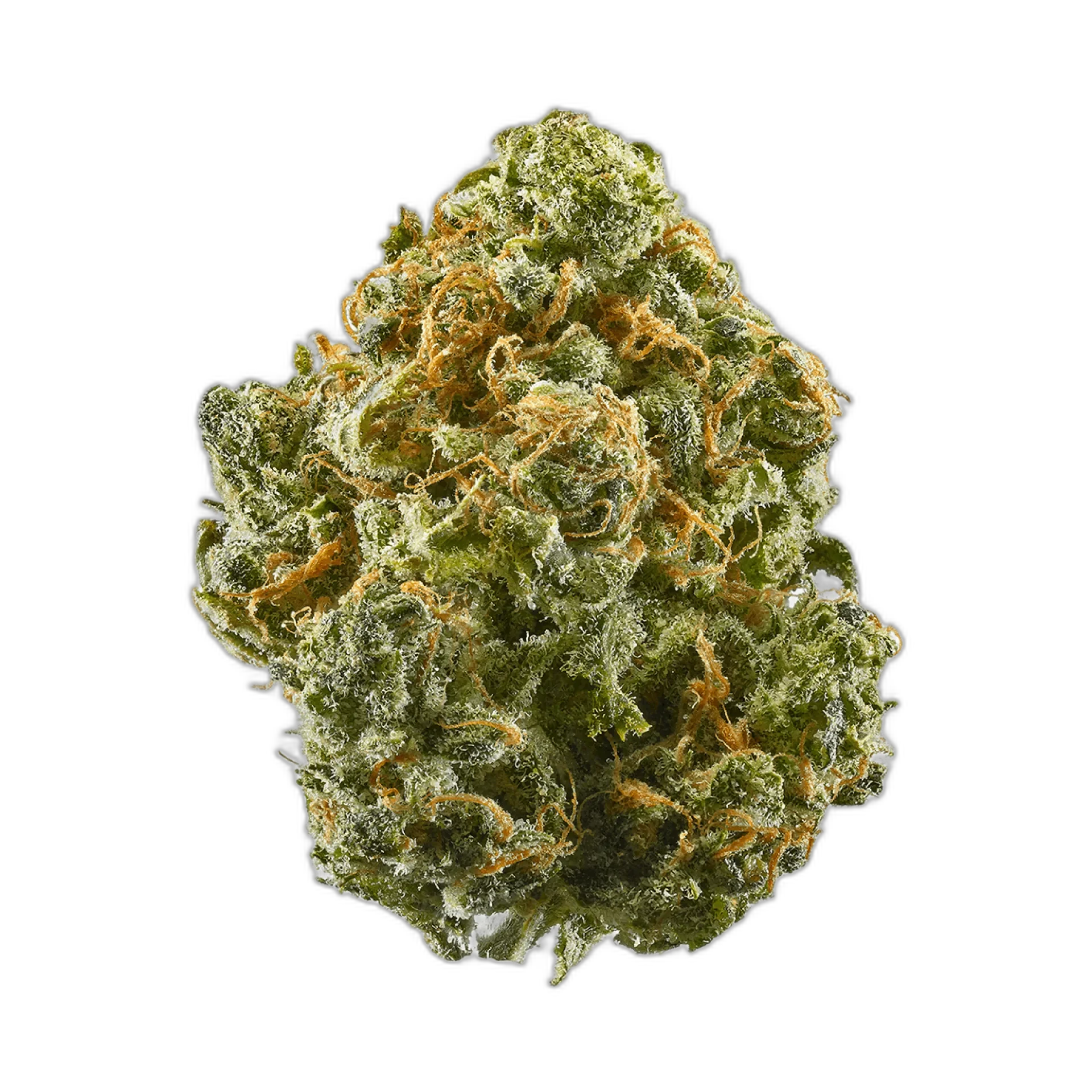 Guava