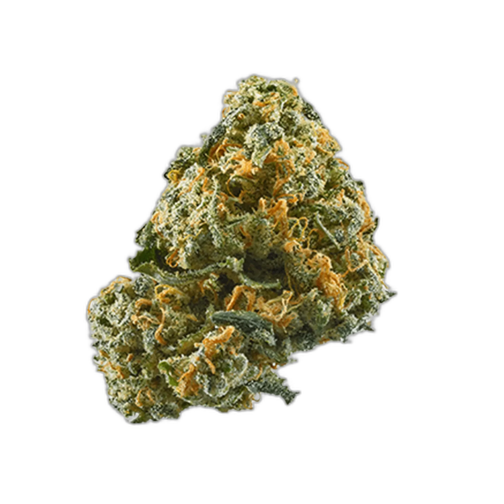 Hash Plant
