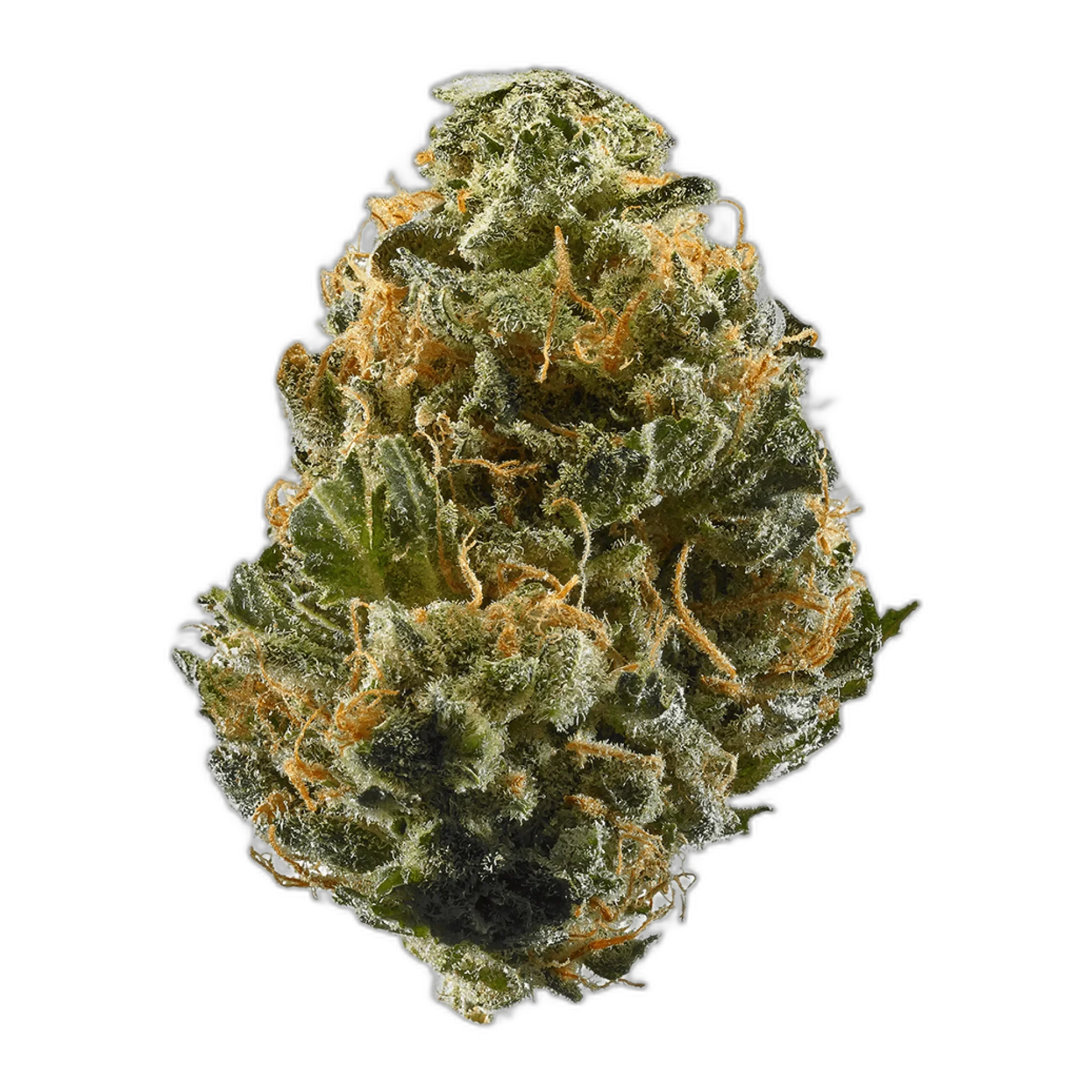 Haze