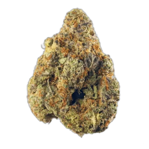 Hindu Kush