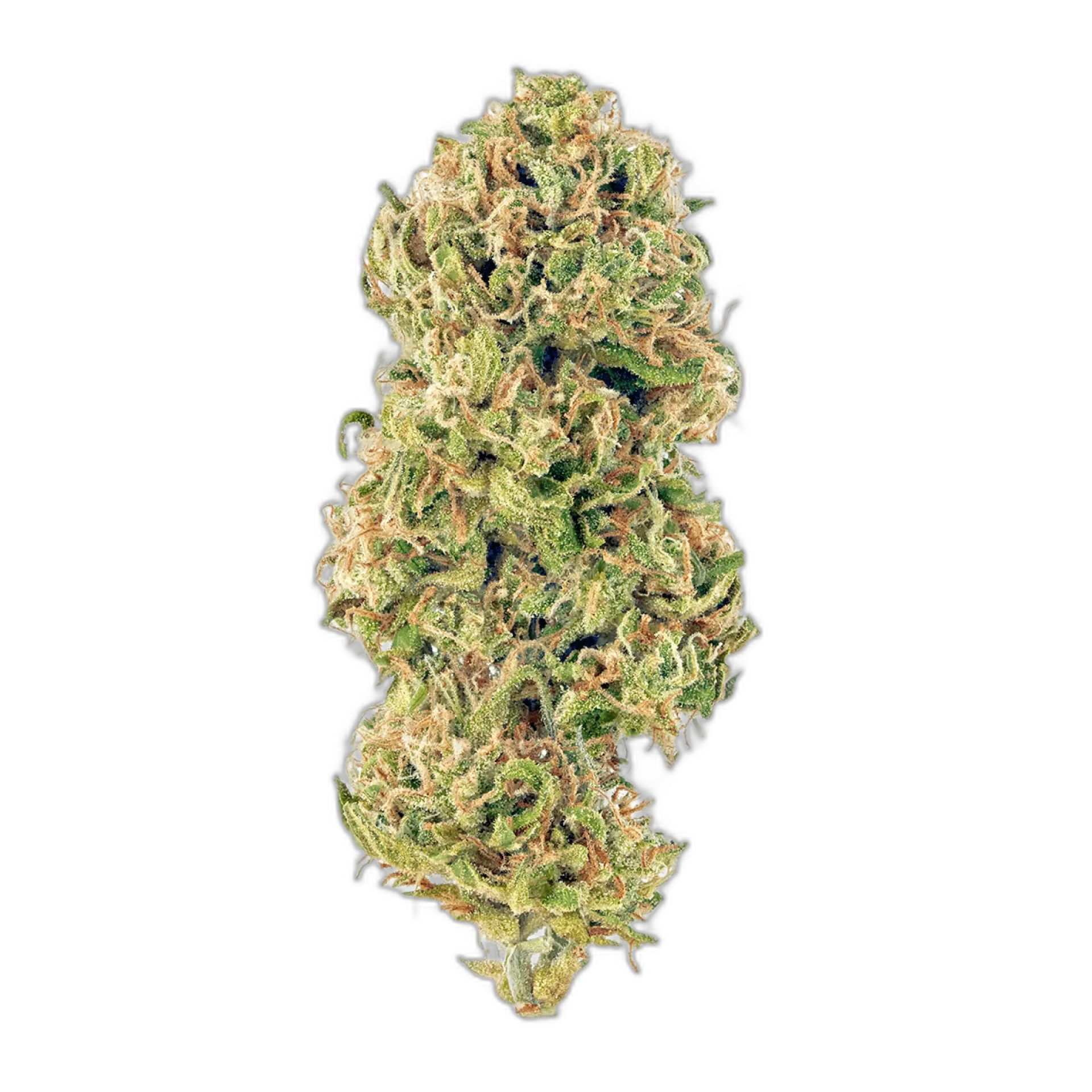 Huckleberry
