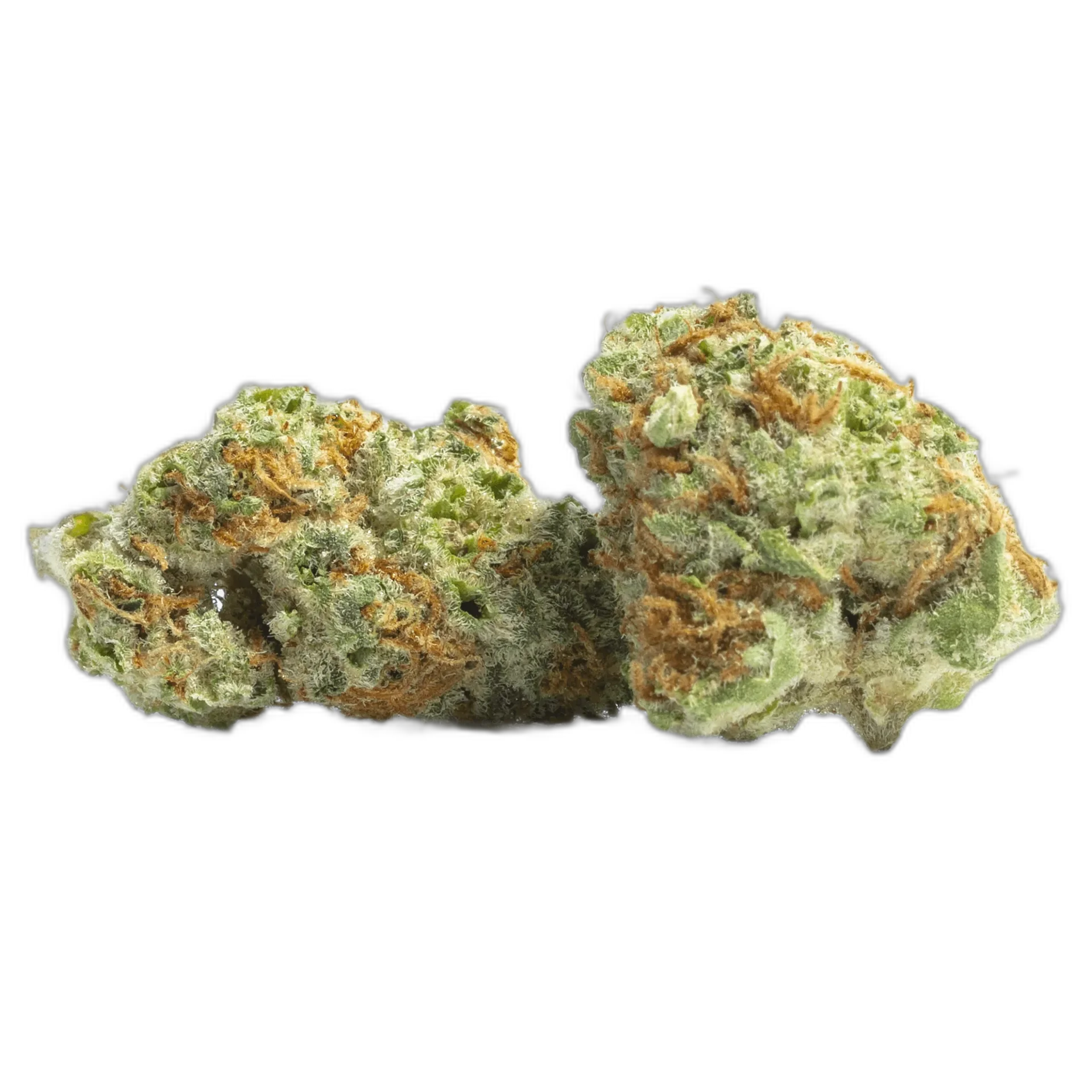 Island Sweet Skunk