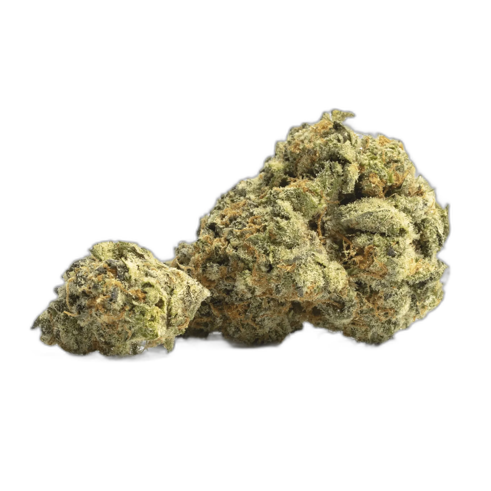 Jack Flash