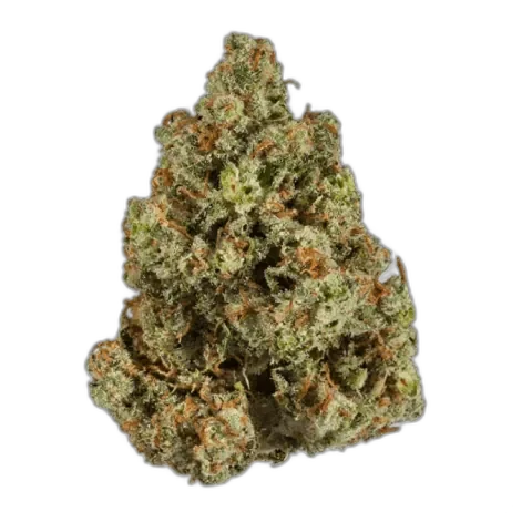 Jack Herer