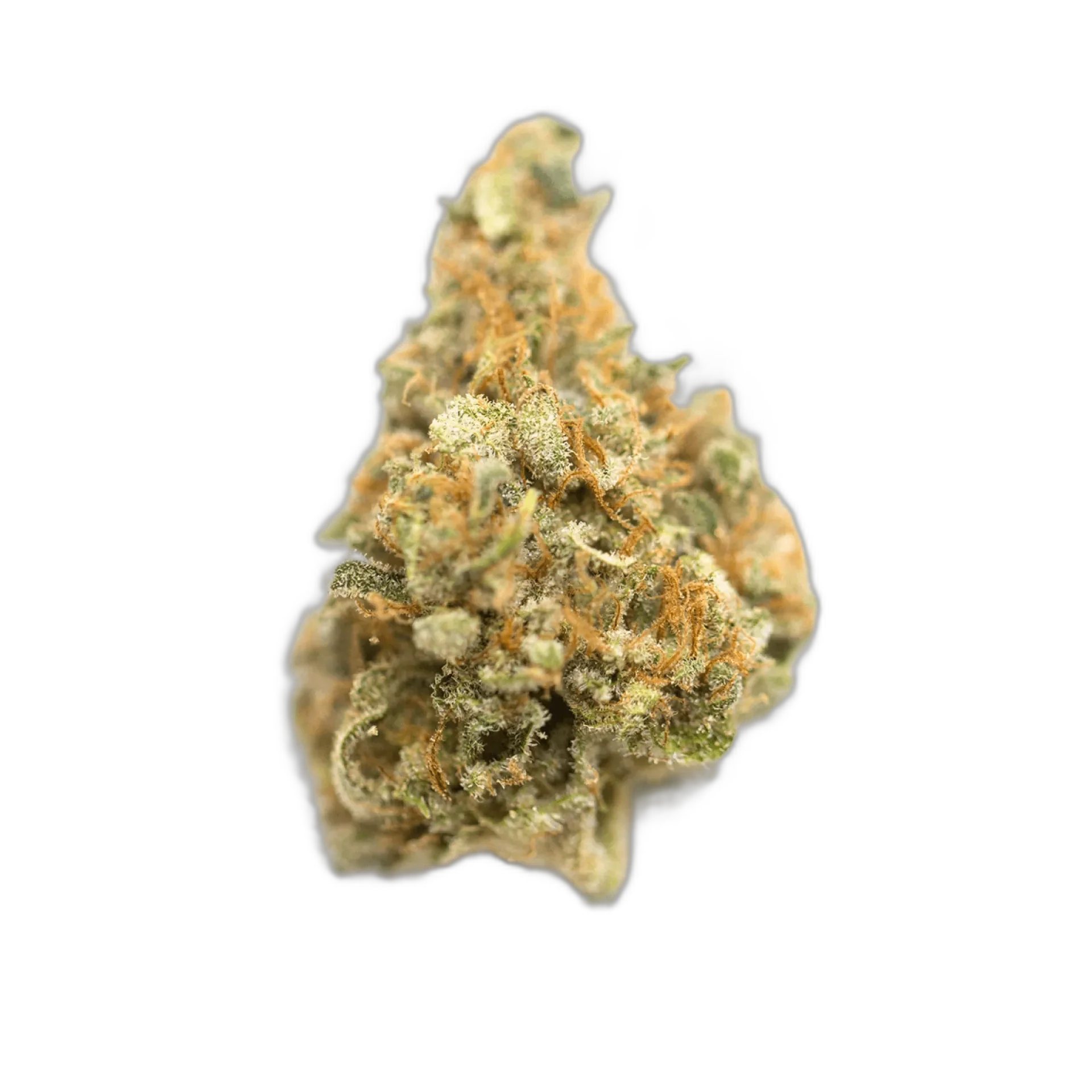 Jedi Kush