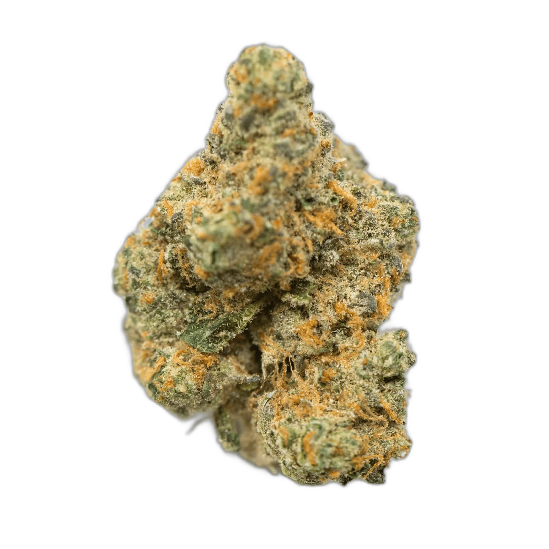 Jesus OG