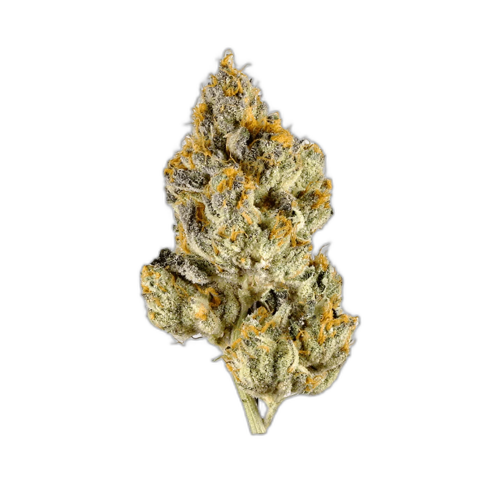 Jet Fuel