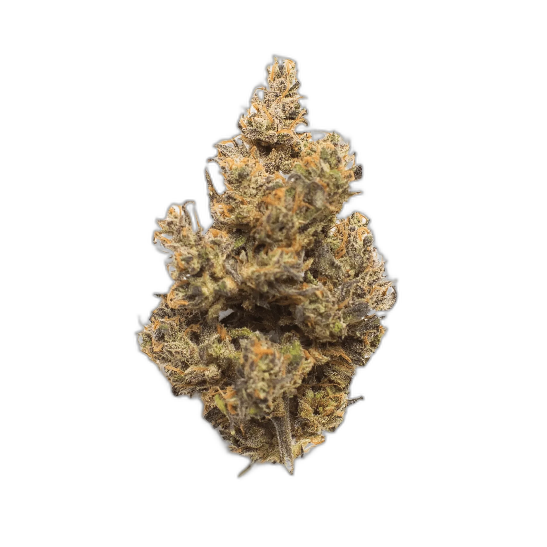Key Lime Pie