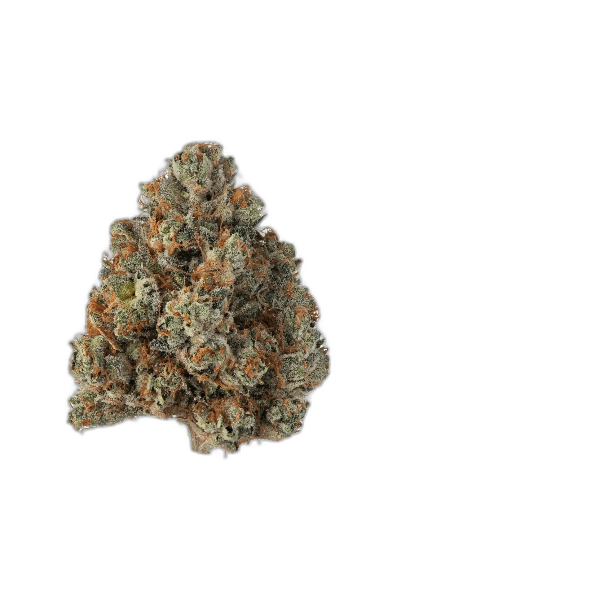 Khalifa Kush