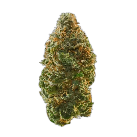 Kosher Kush