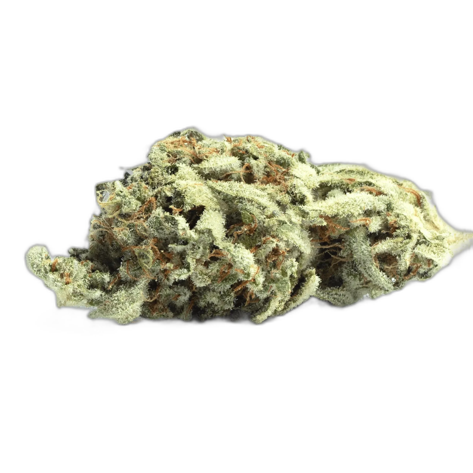 Kush Mints