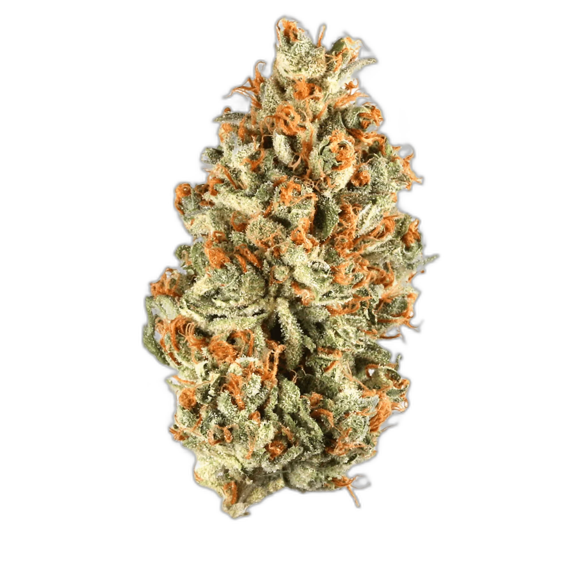 Larry OG