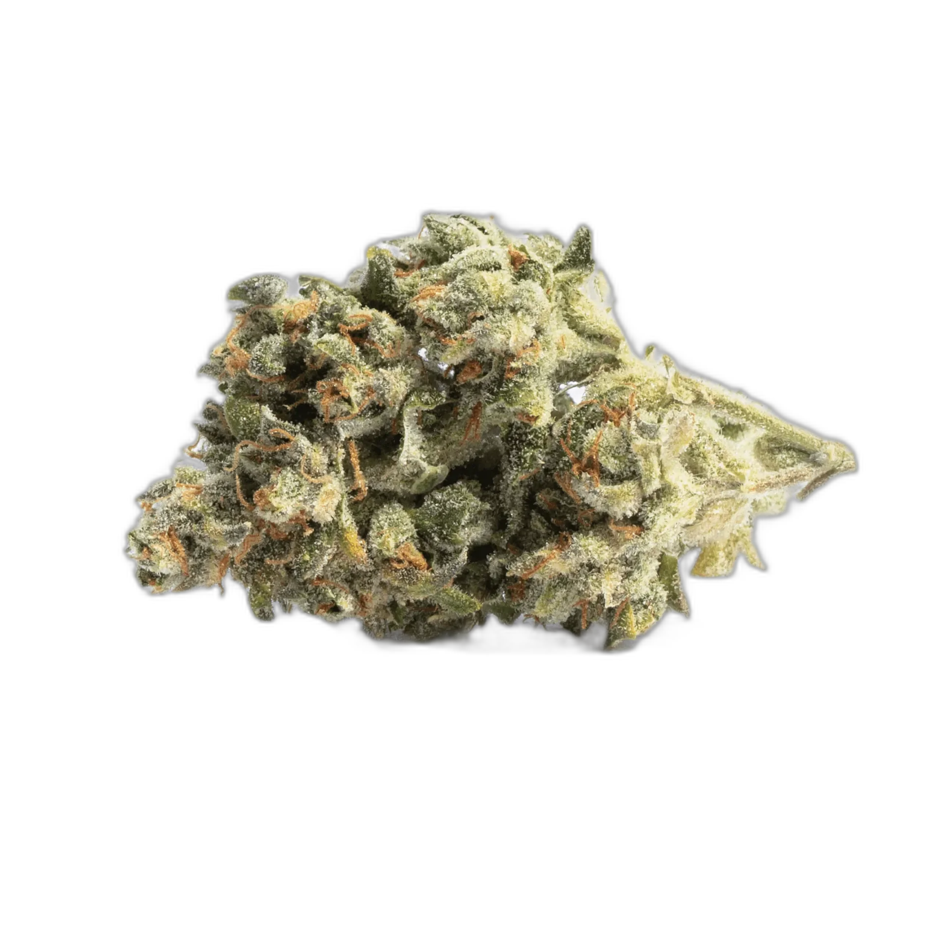 Lemon Drop