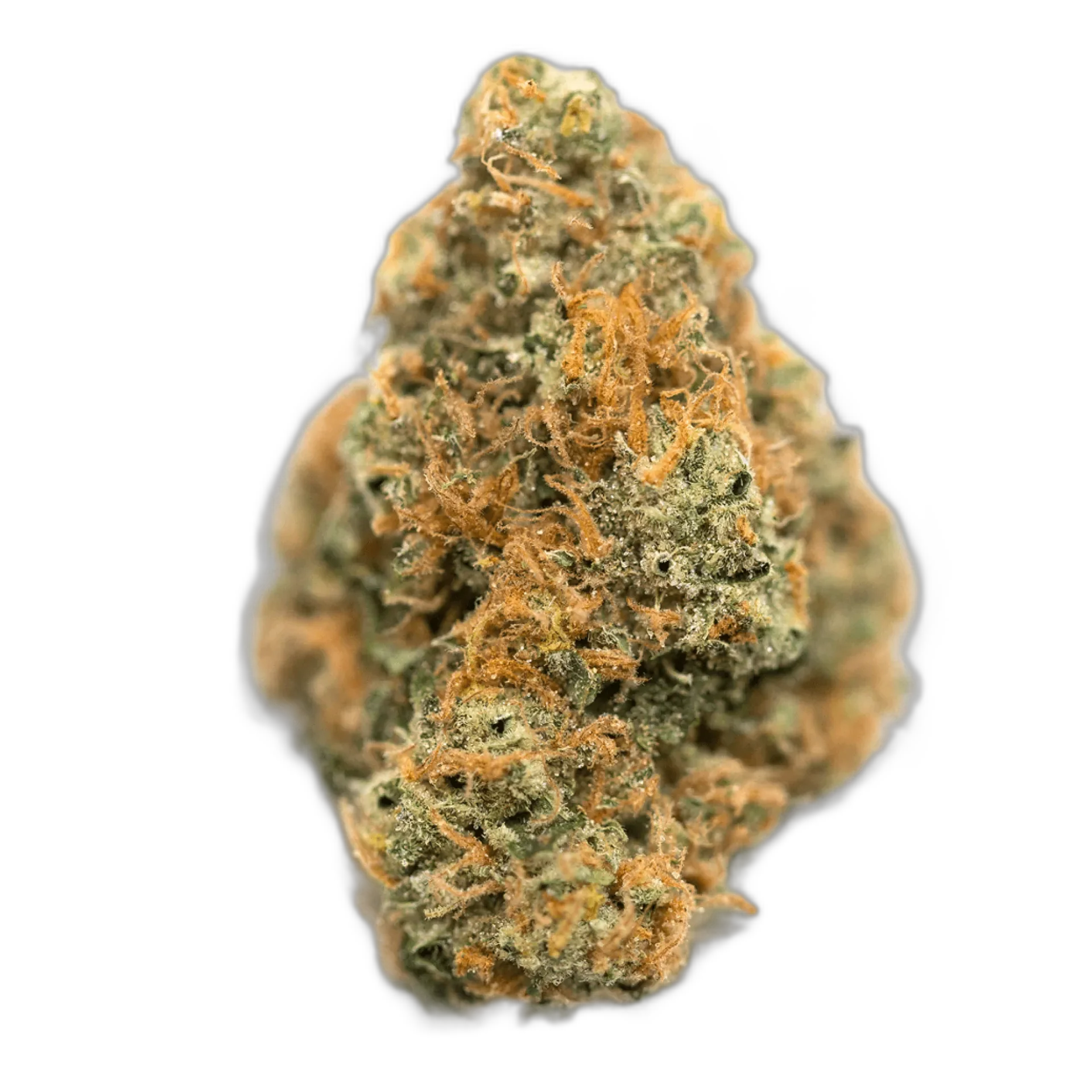 Lemon Haze