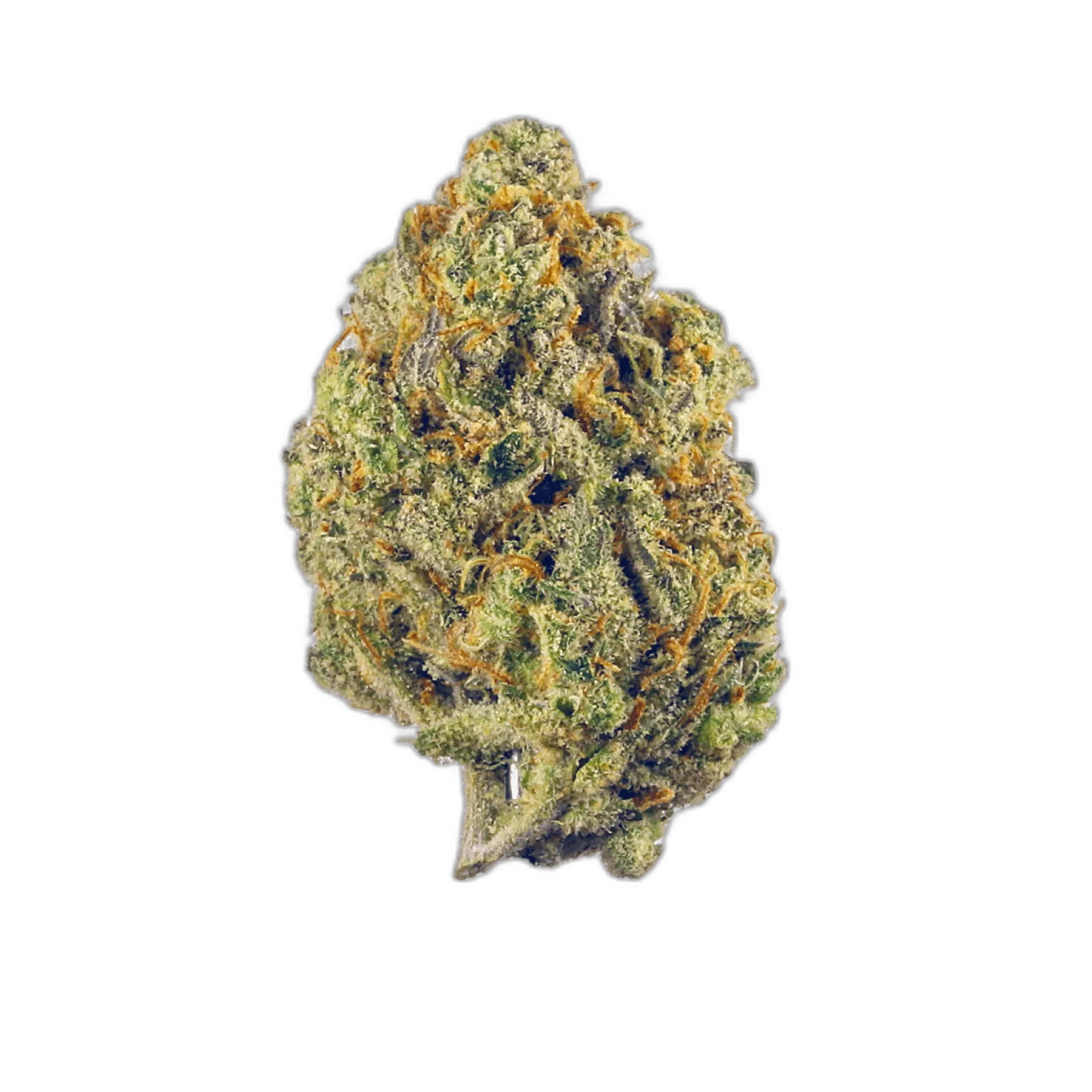 Lilac Diesel