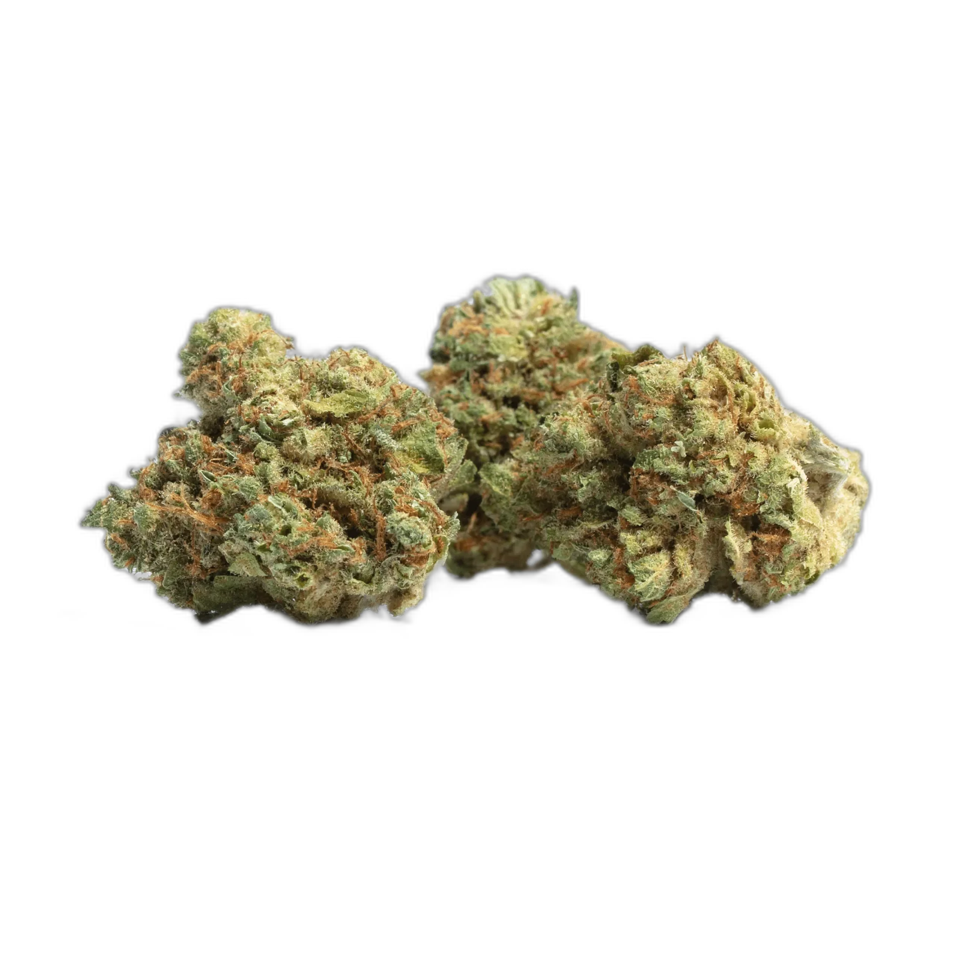 Mango Haze