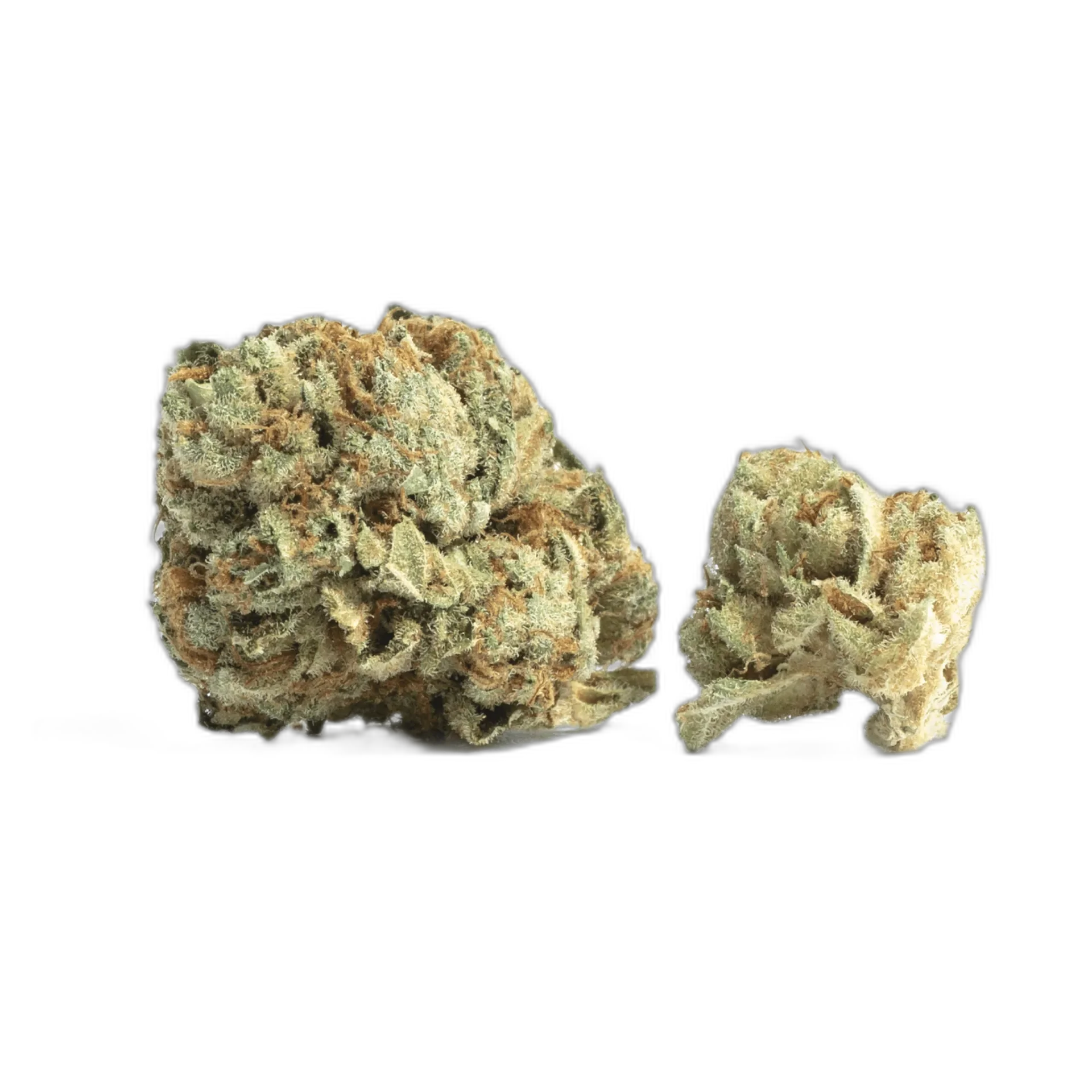 Martian Mean Green