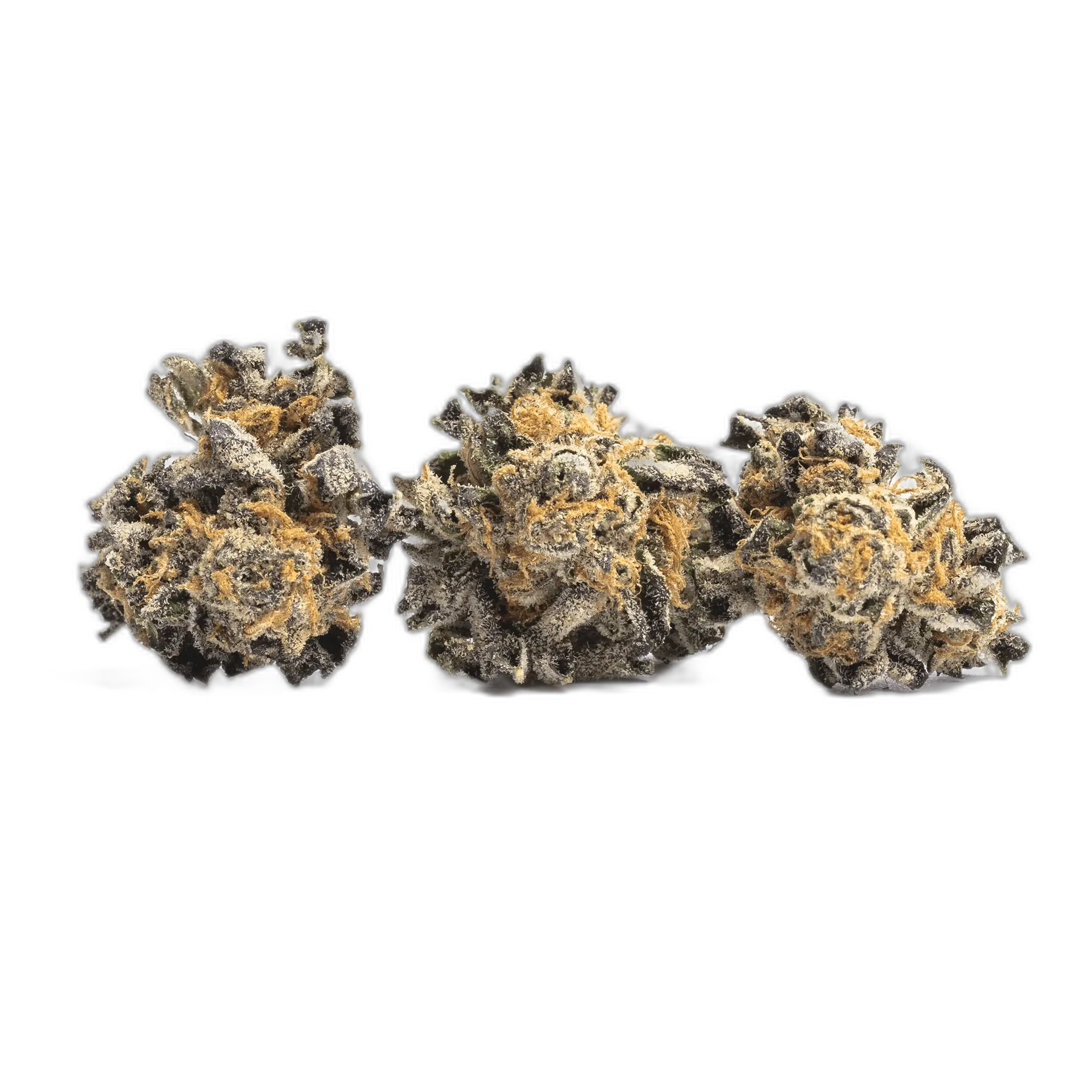 Master Kush