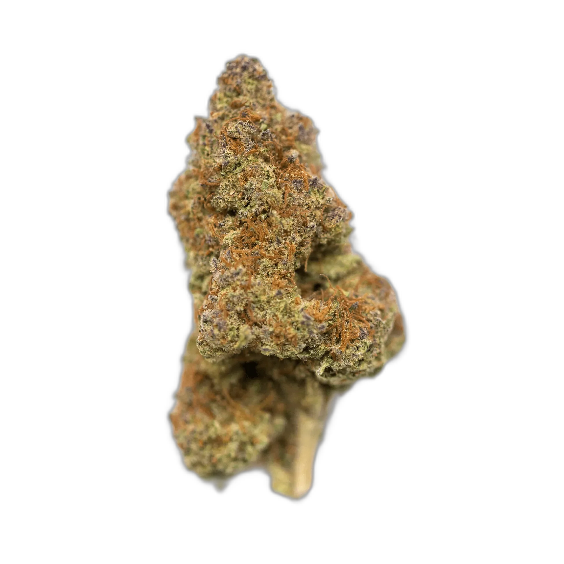 Maui
