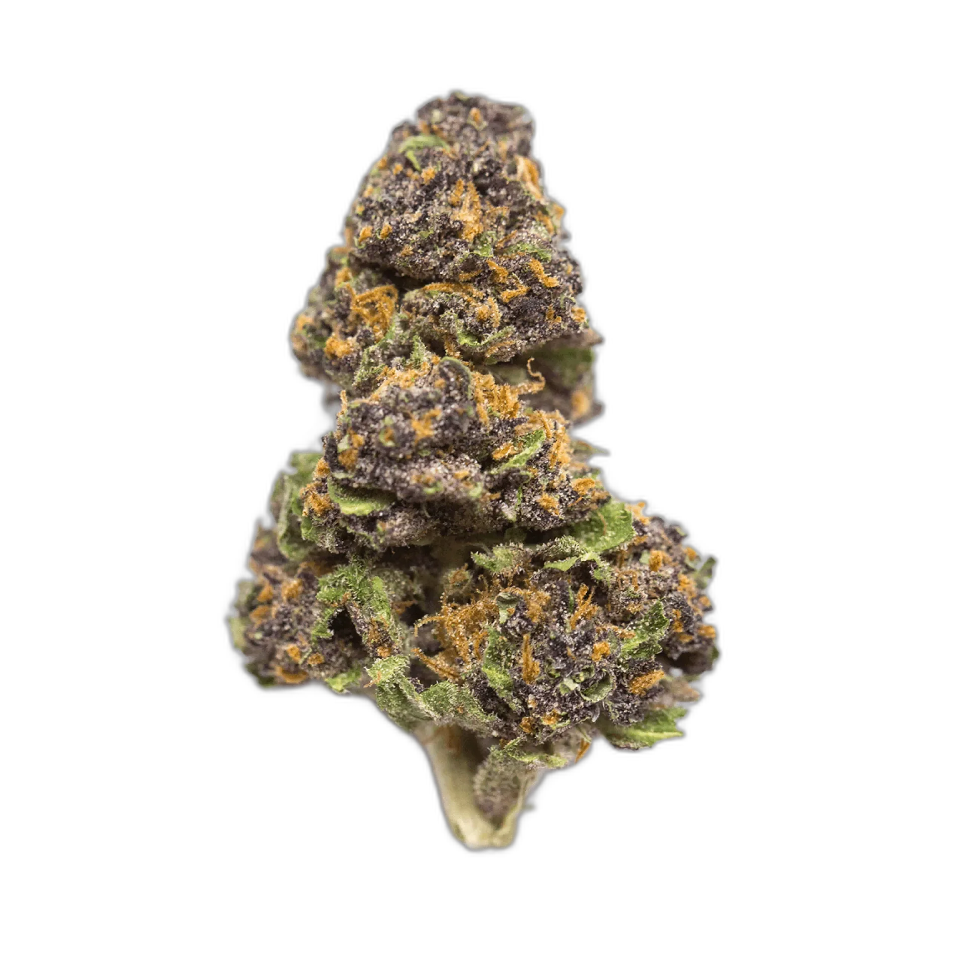 Monster Cookies