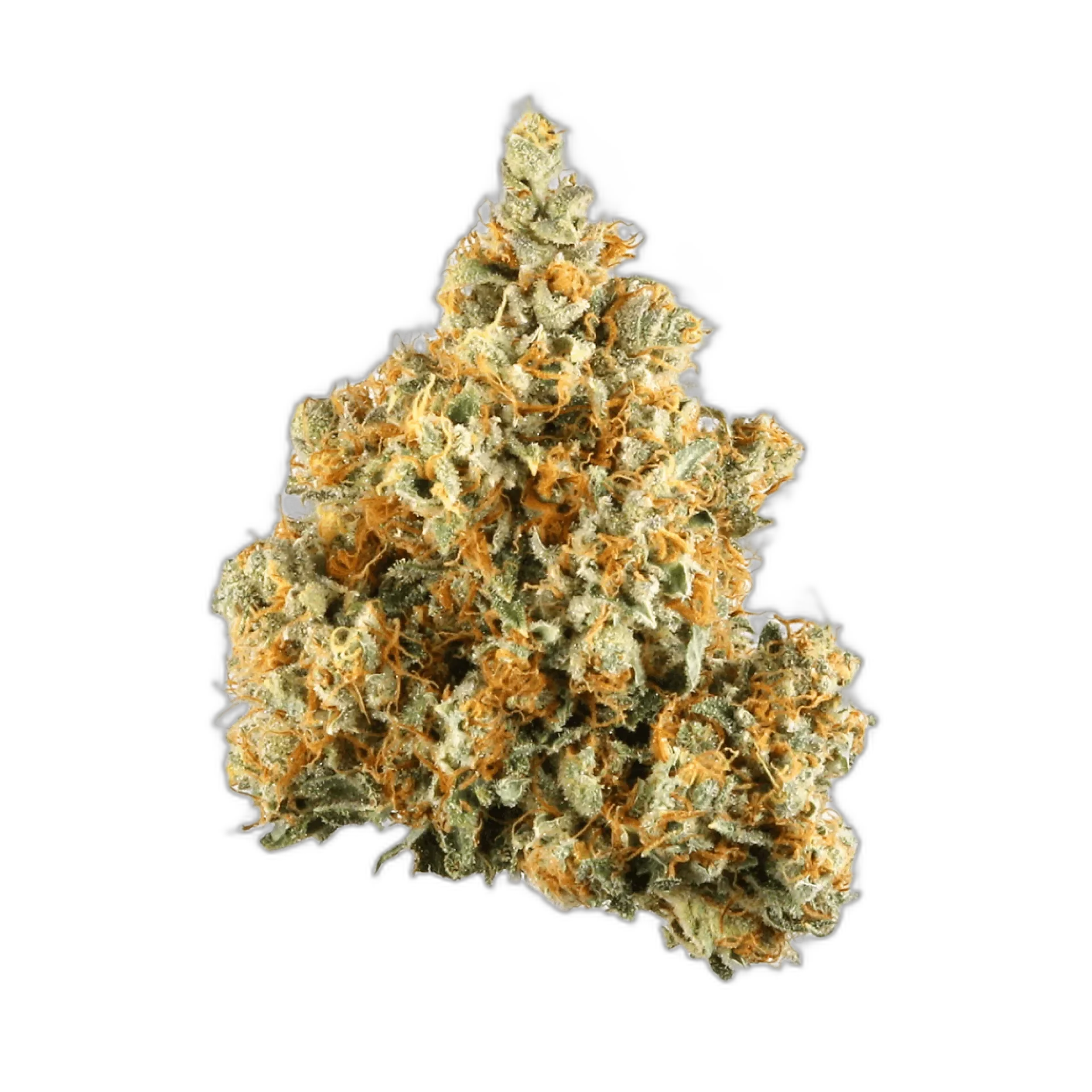 NYC Diesel