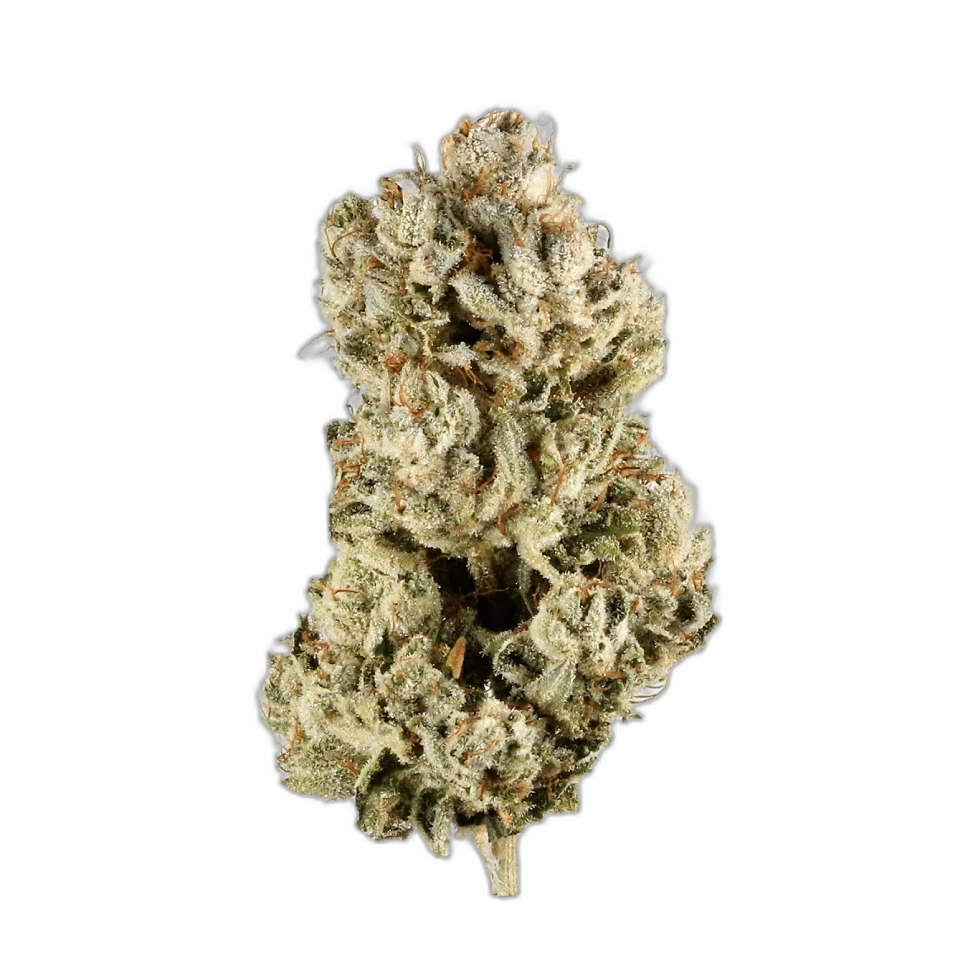 OG Diesel Kush