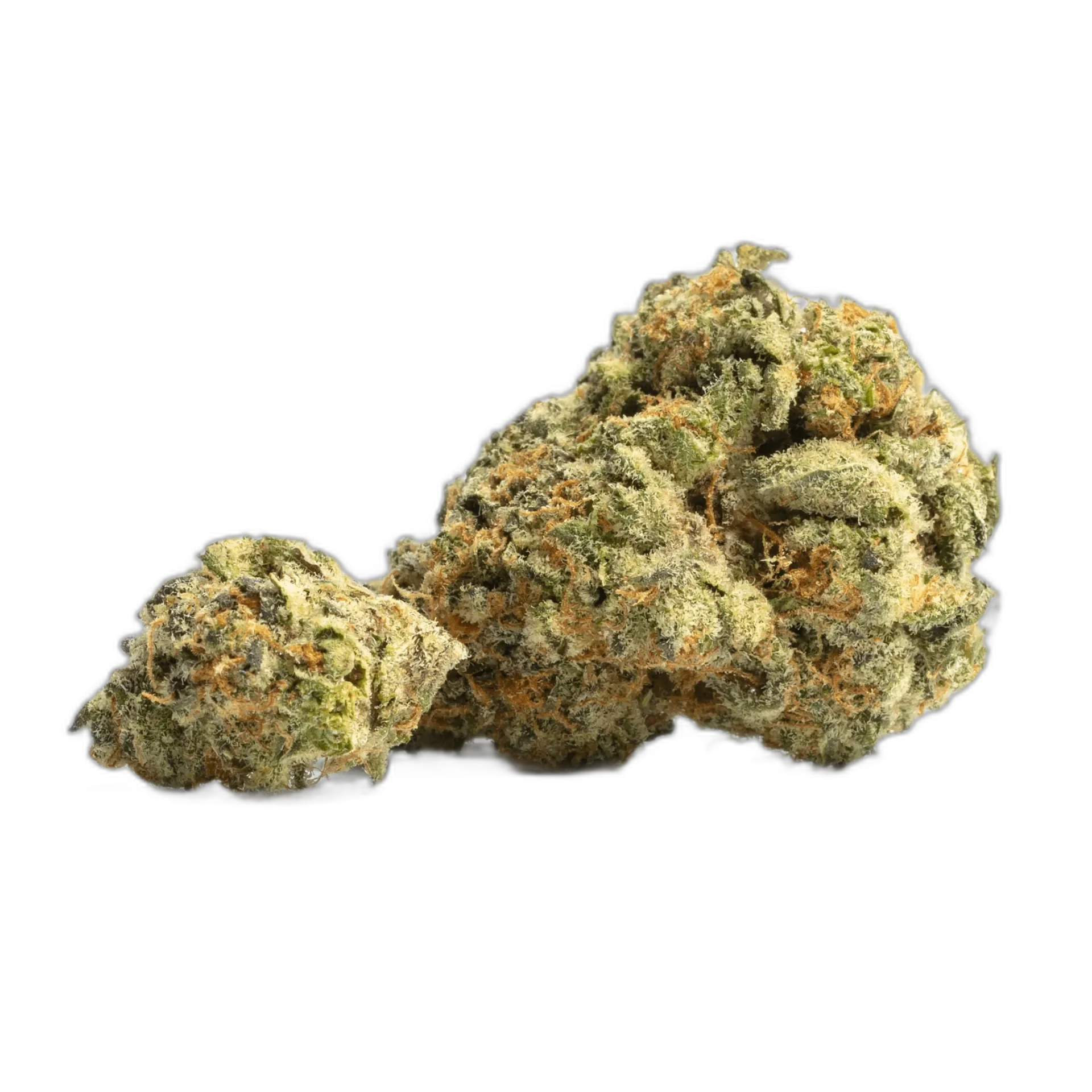 Orange Cookies