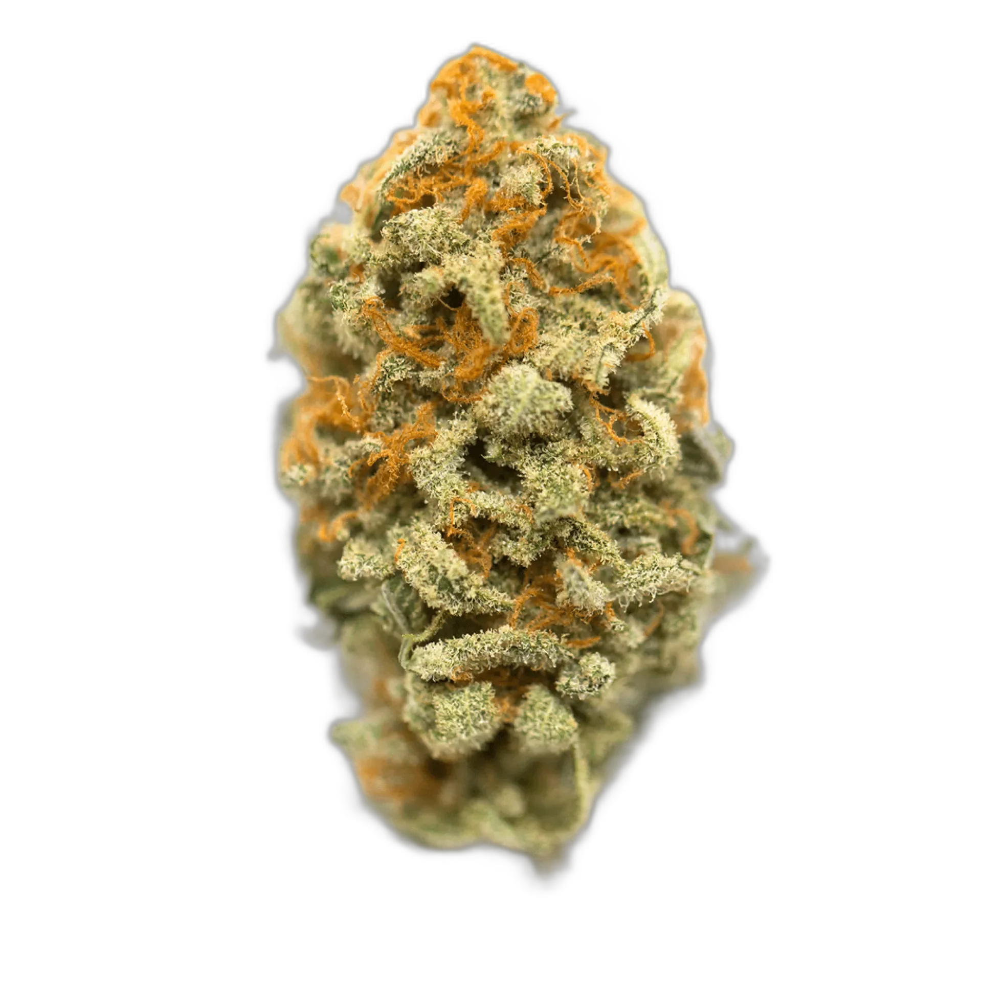 Orange Crush