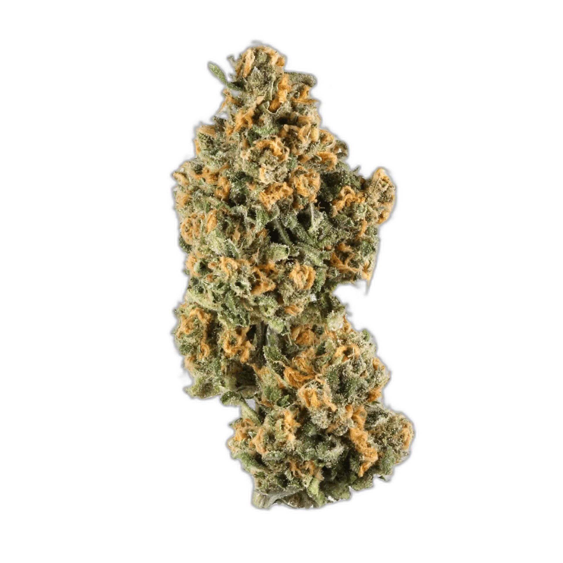 Paris OG