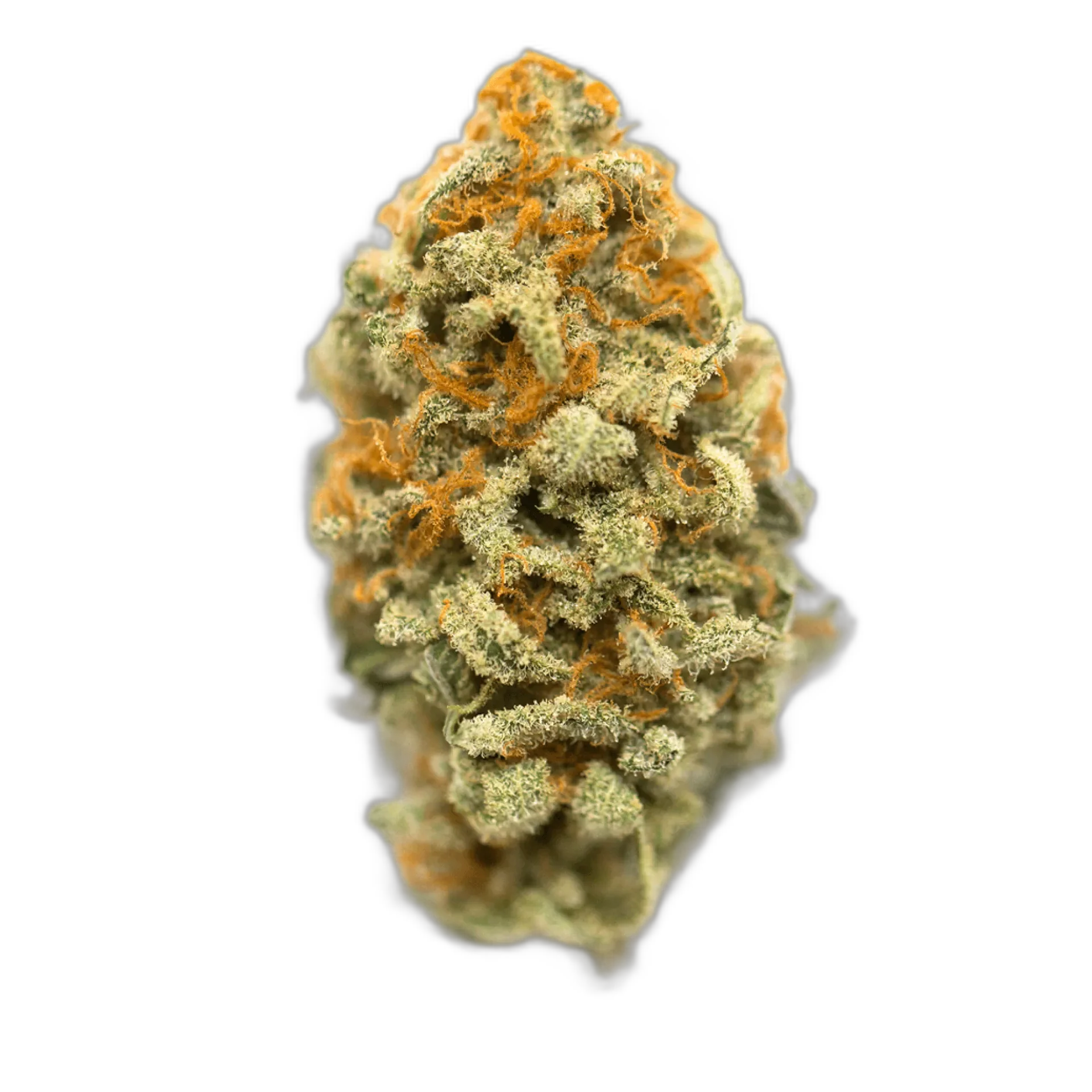 Pineapple Kush