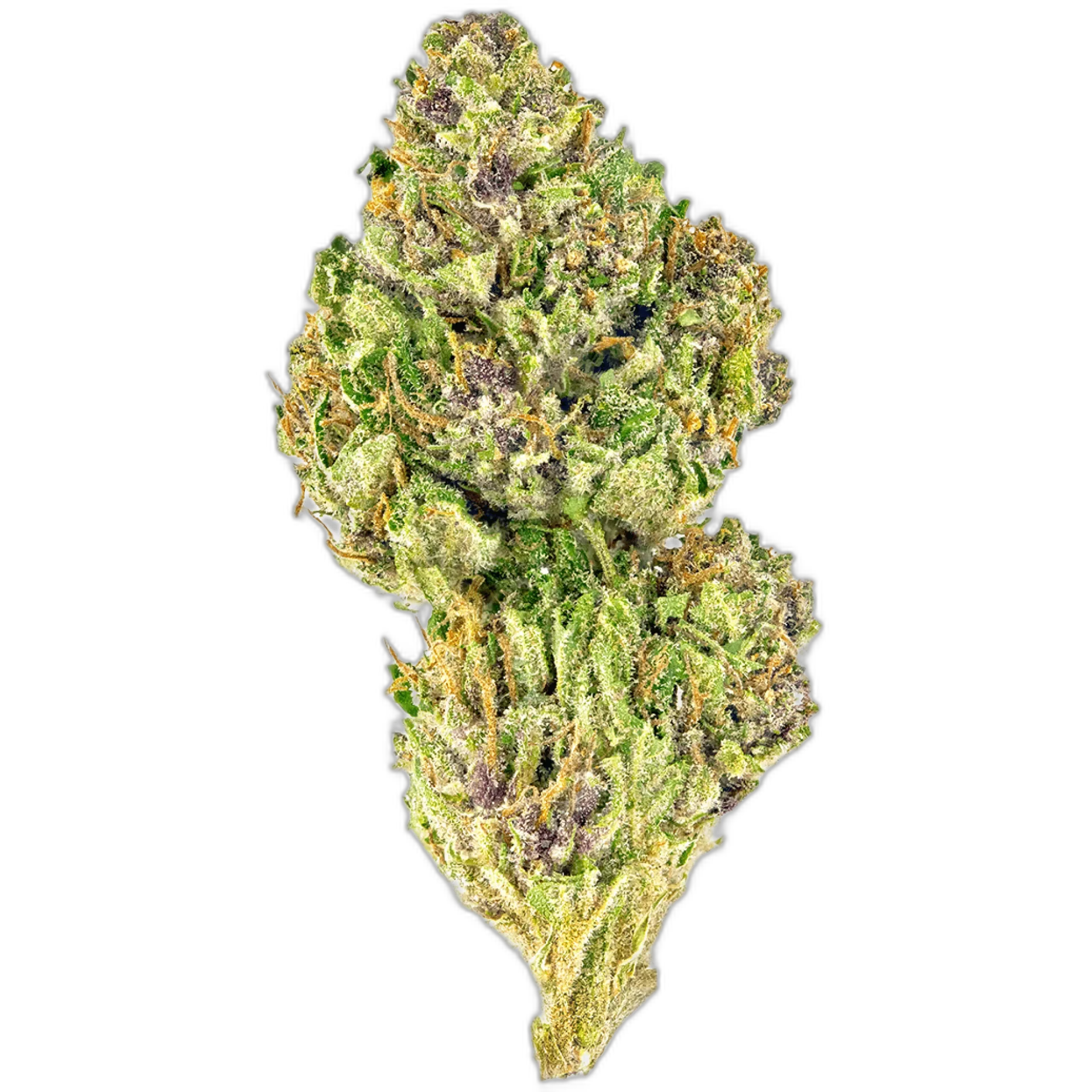 Pink Kush