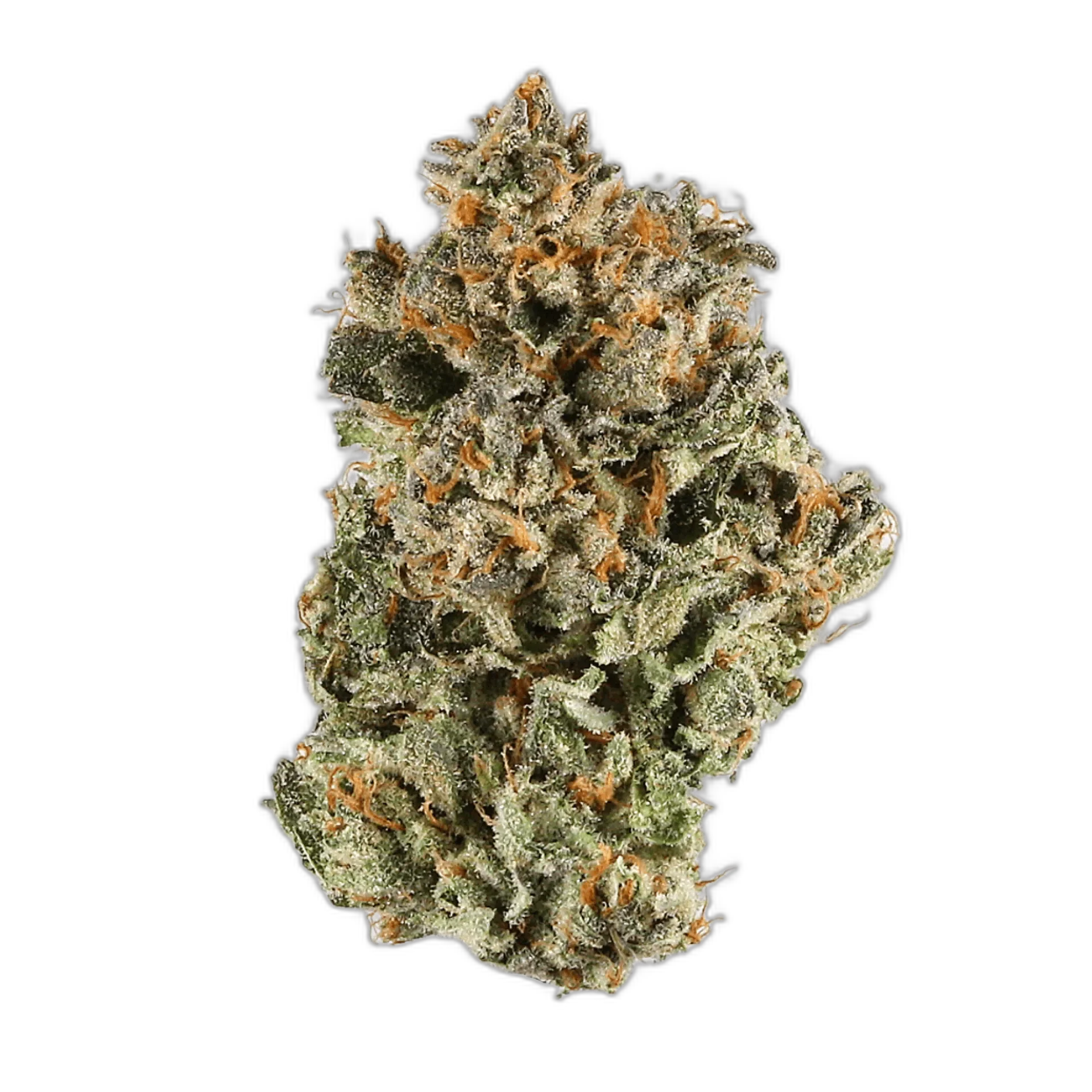 Platinum Kush