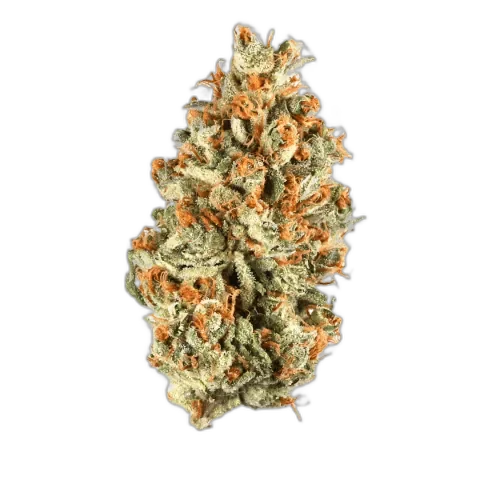 Platinum OG