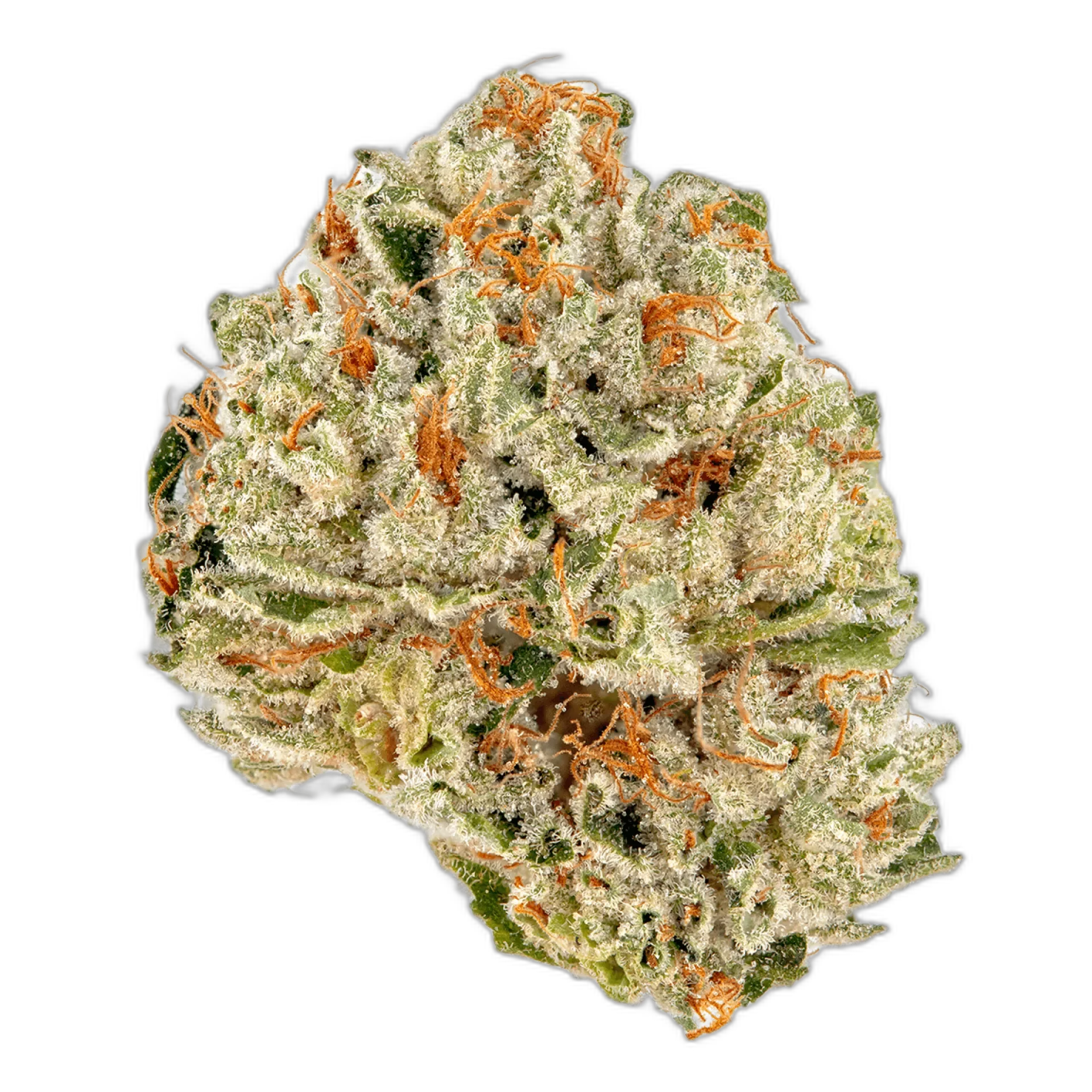 Presidential OG